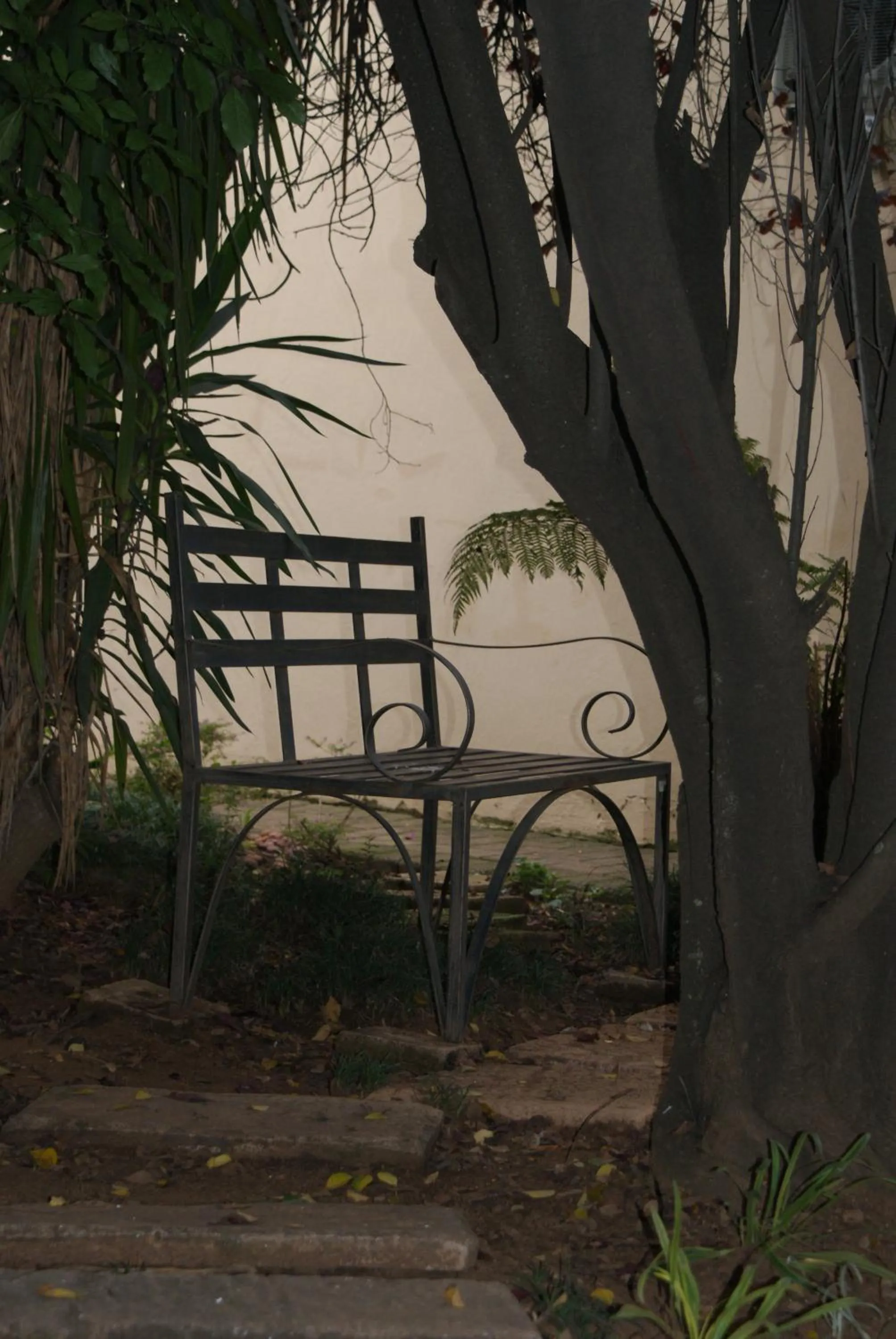 Garden in Elizabeth Lodge