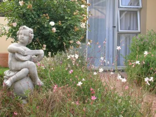 Garden in Elizabeth Lodge