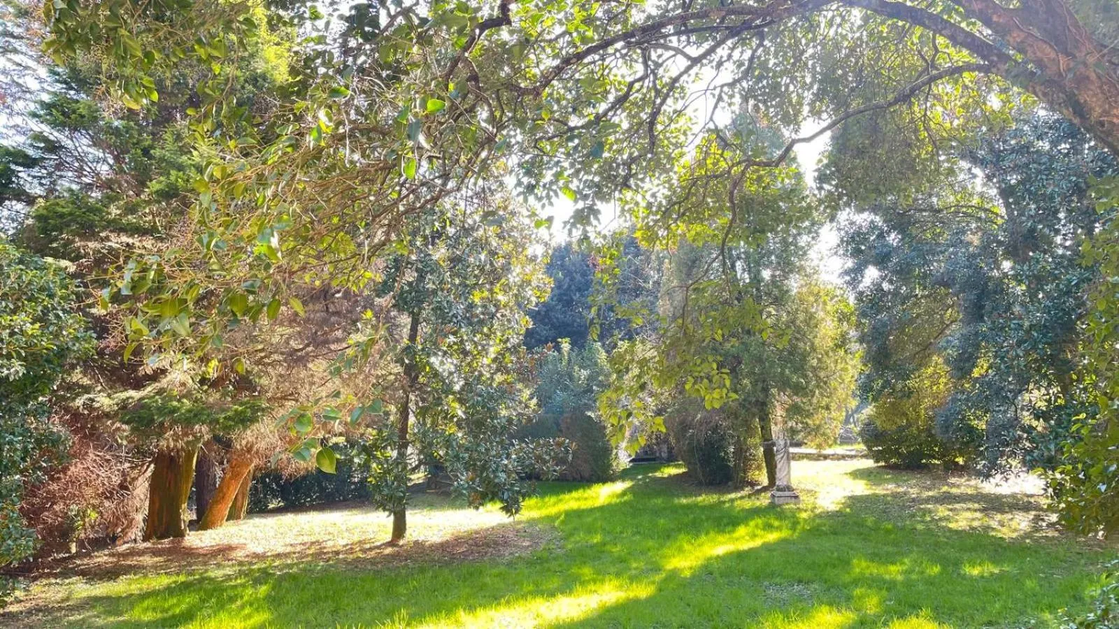 Property building in Villa Scalabrini