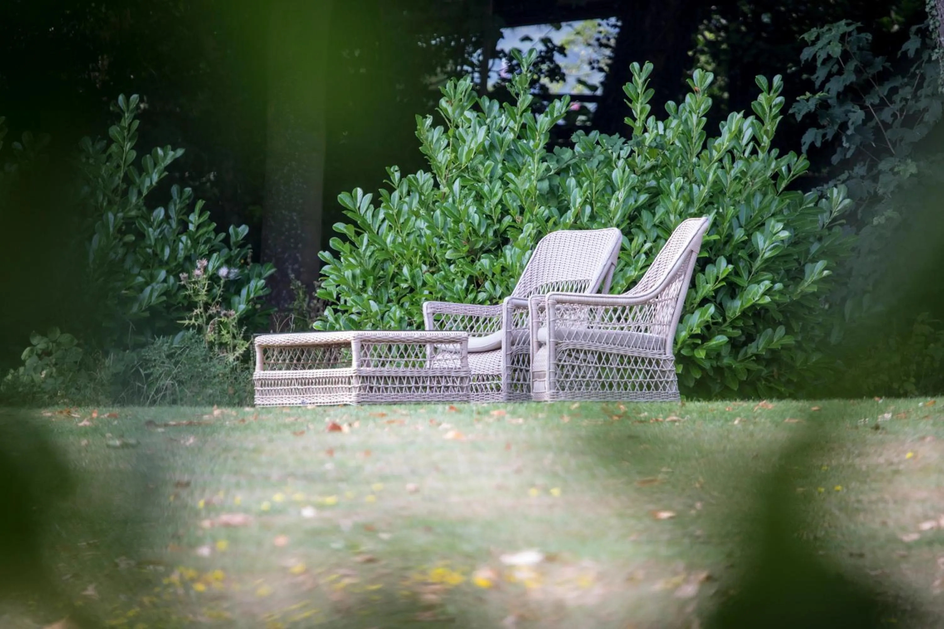 Garden in Stella Maris