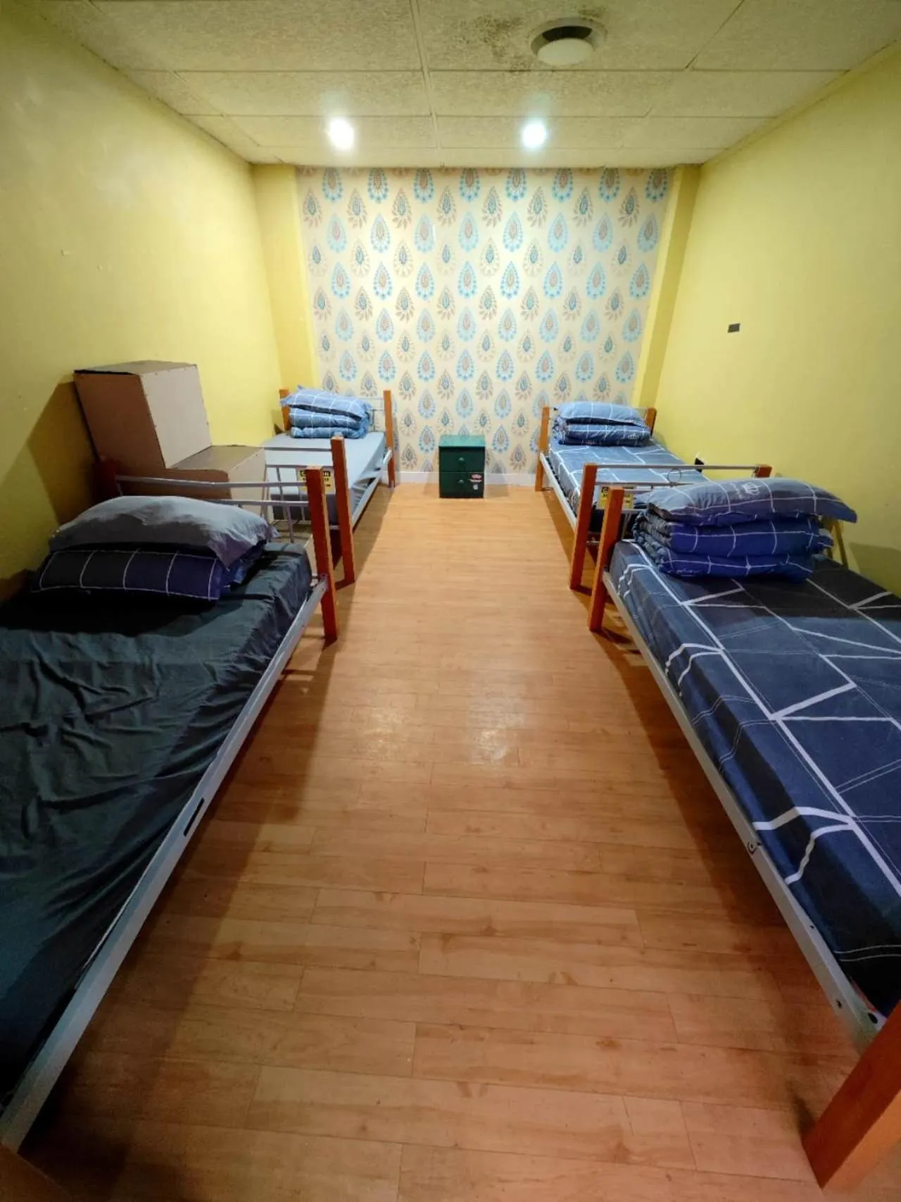 Photo of the whole room, Bed in Frienz Backpacker