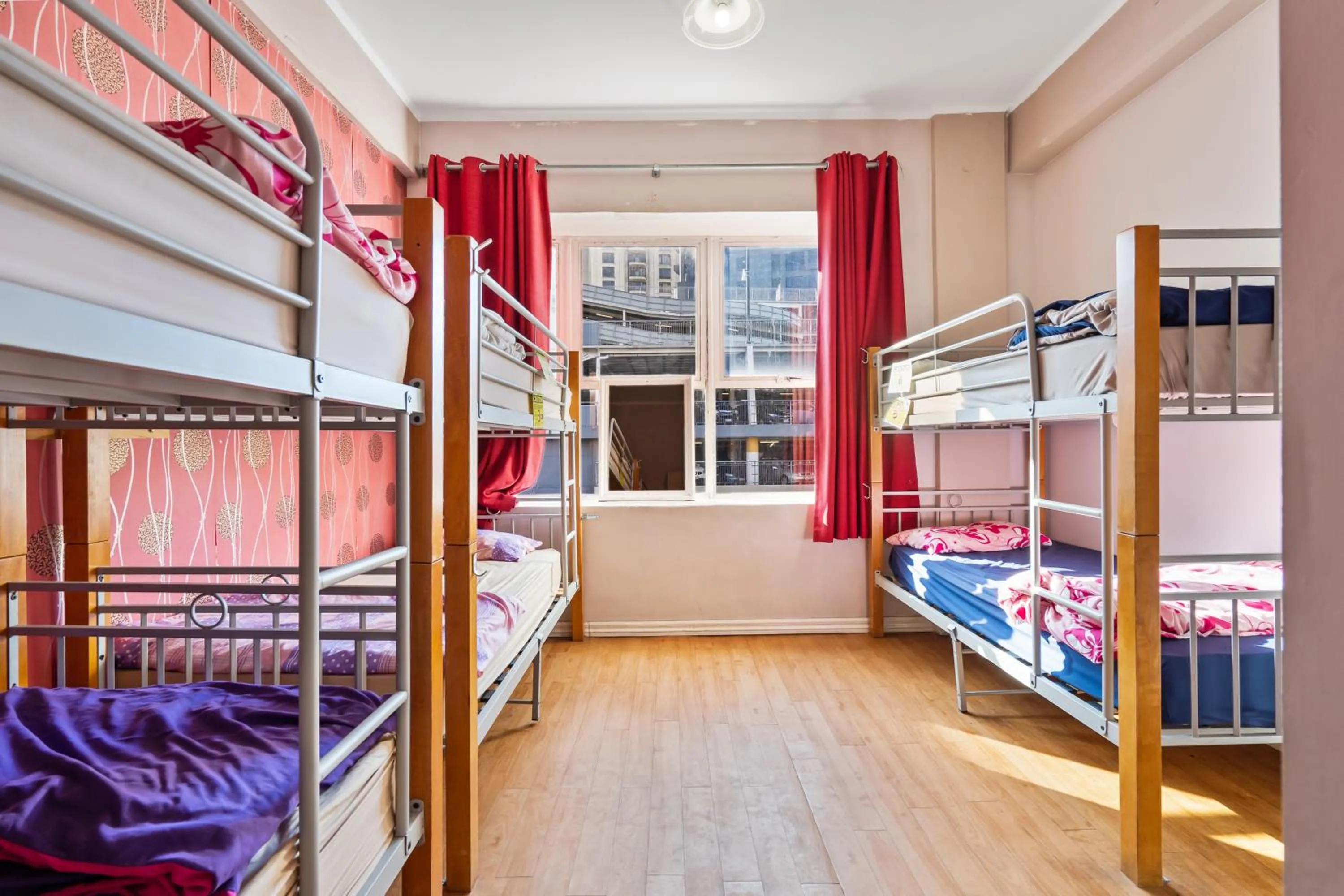 bunk bed, Bed in Frienz Backpacker