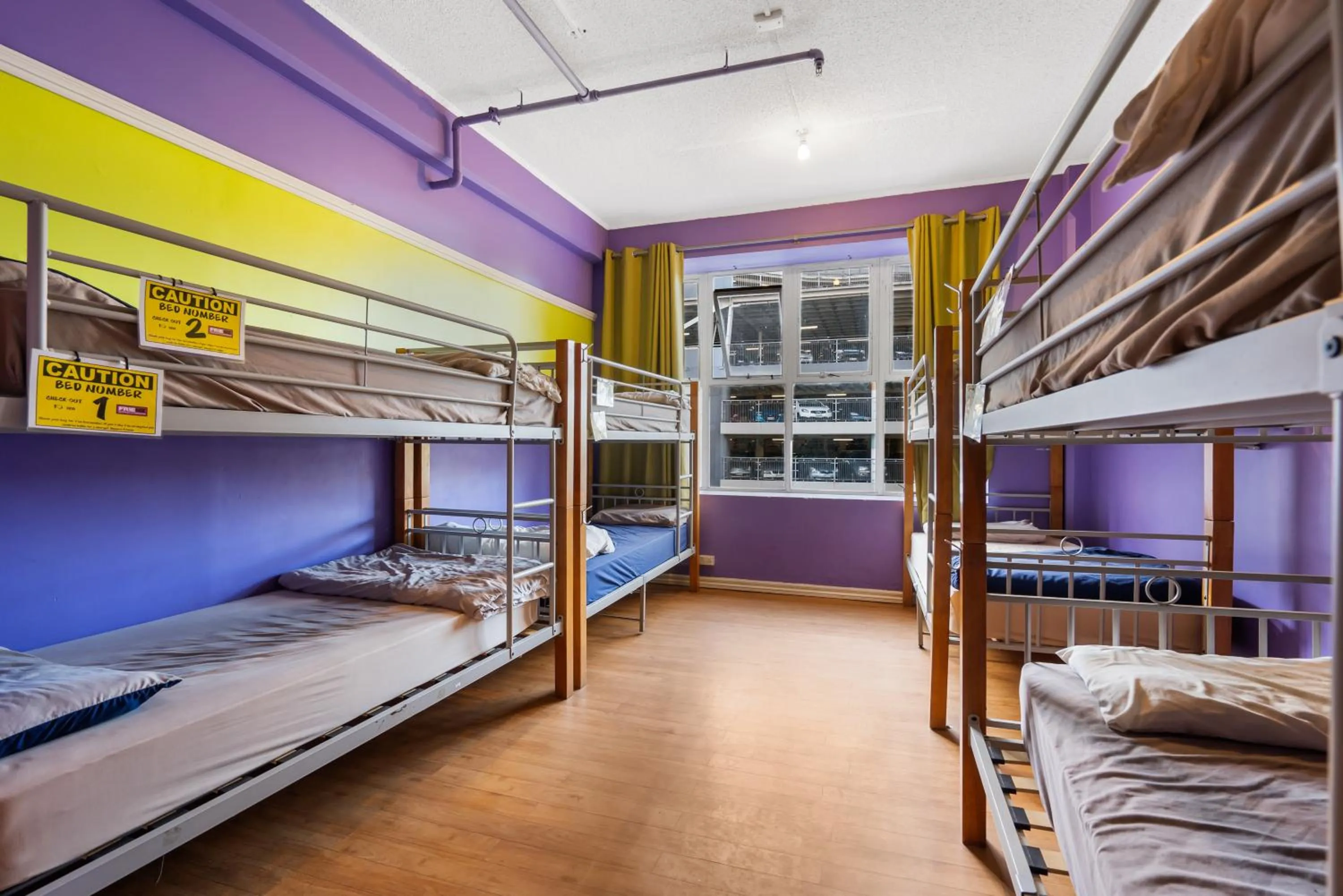 bunk bed, Bed in Frienz Backpacker