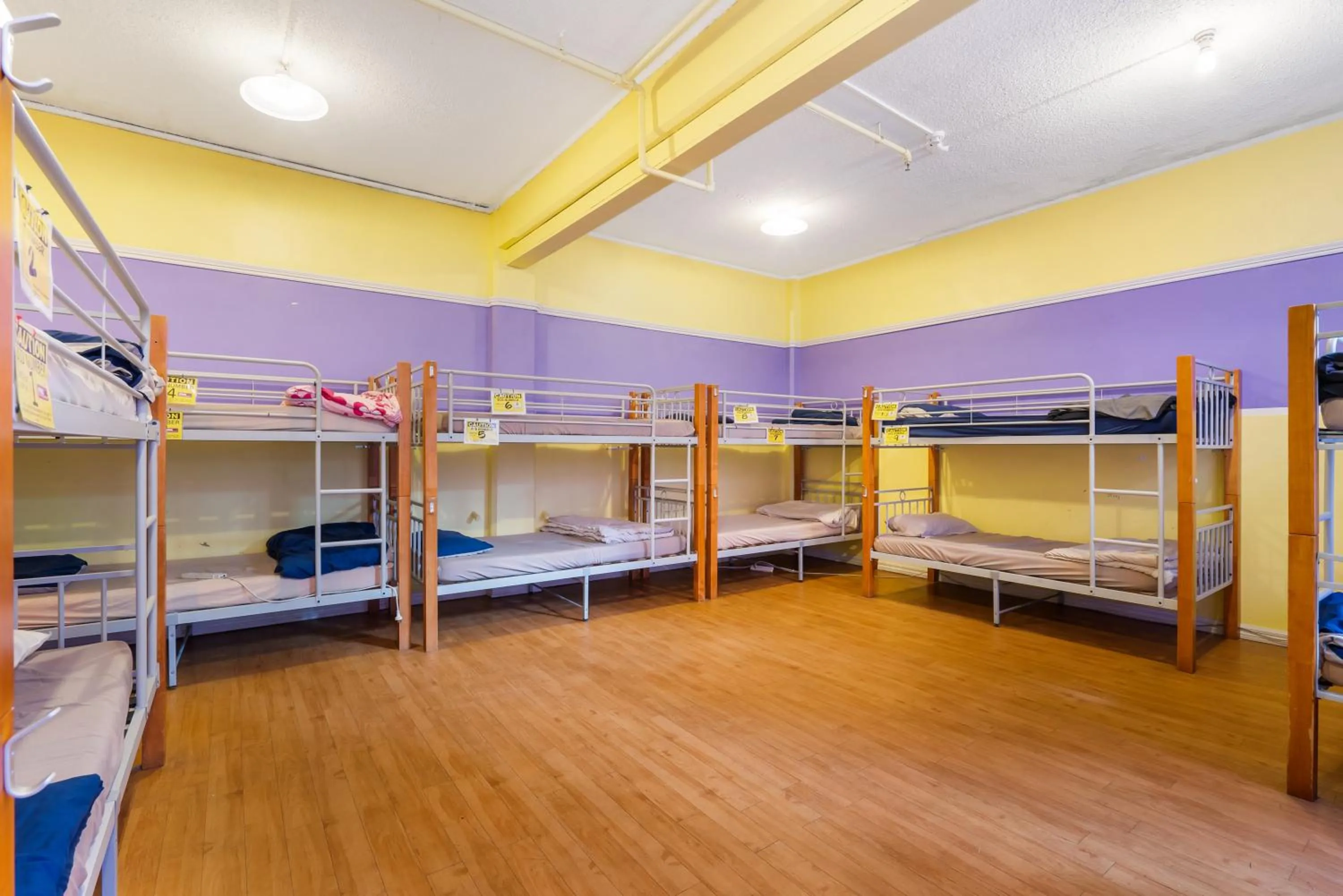 bunk bed, Bed in Frienz Backpacker