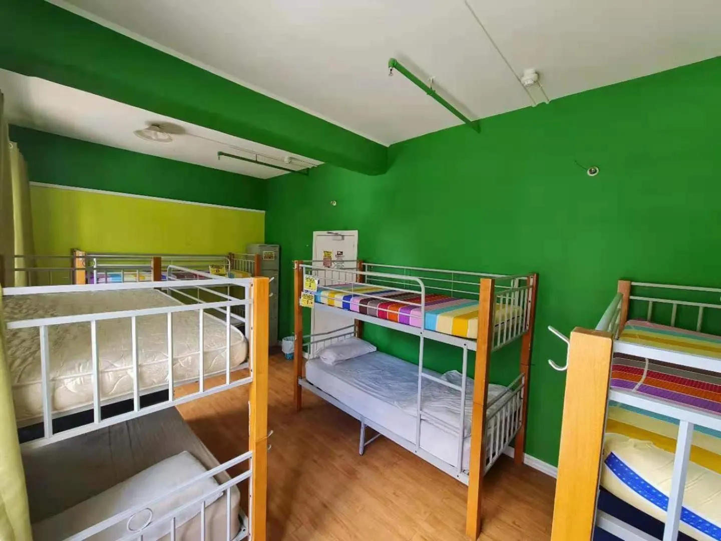 bunk bed, Bed in Frienz Backpacker