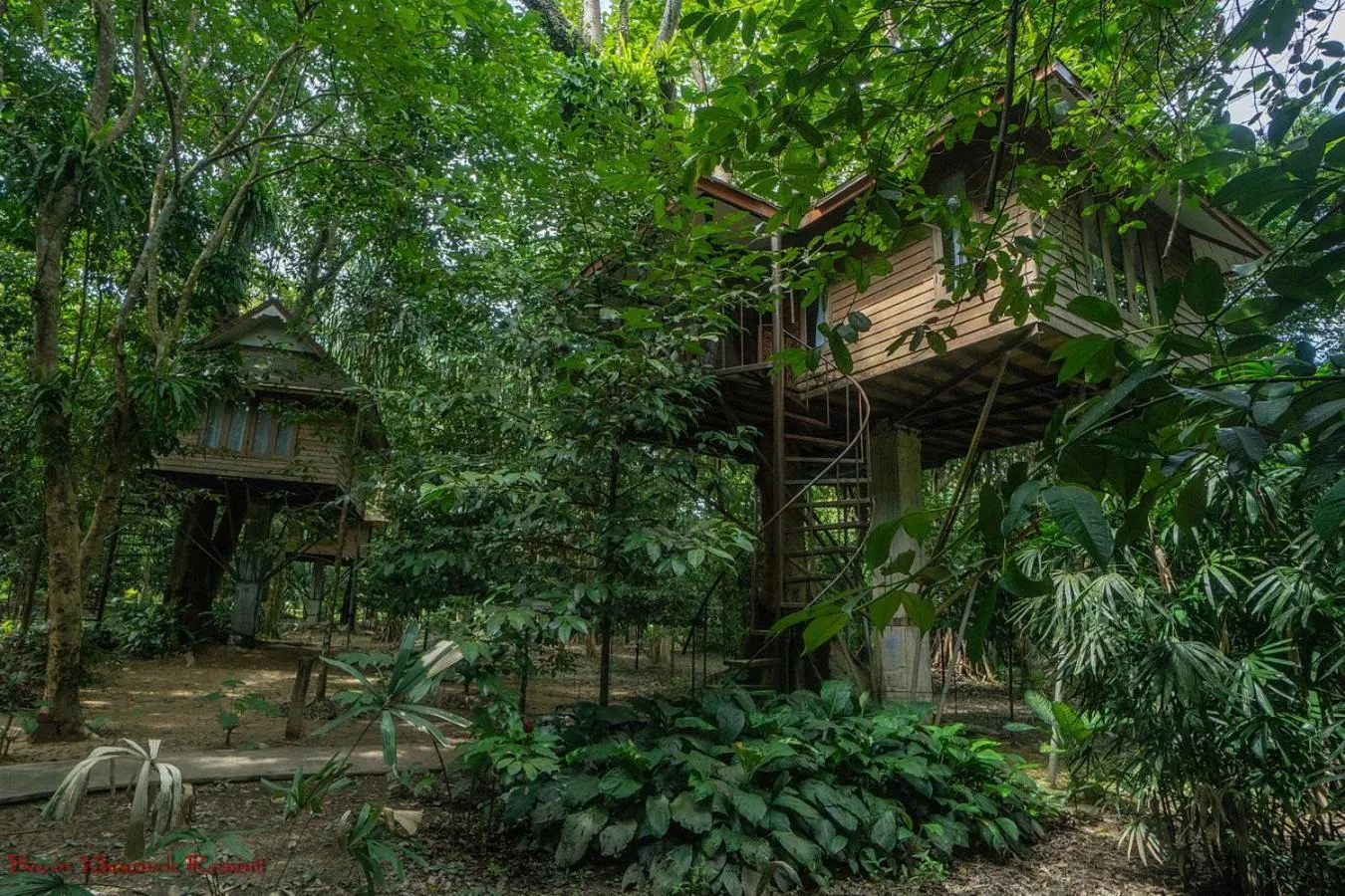 Property building in Baan Khaosok Resort