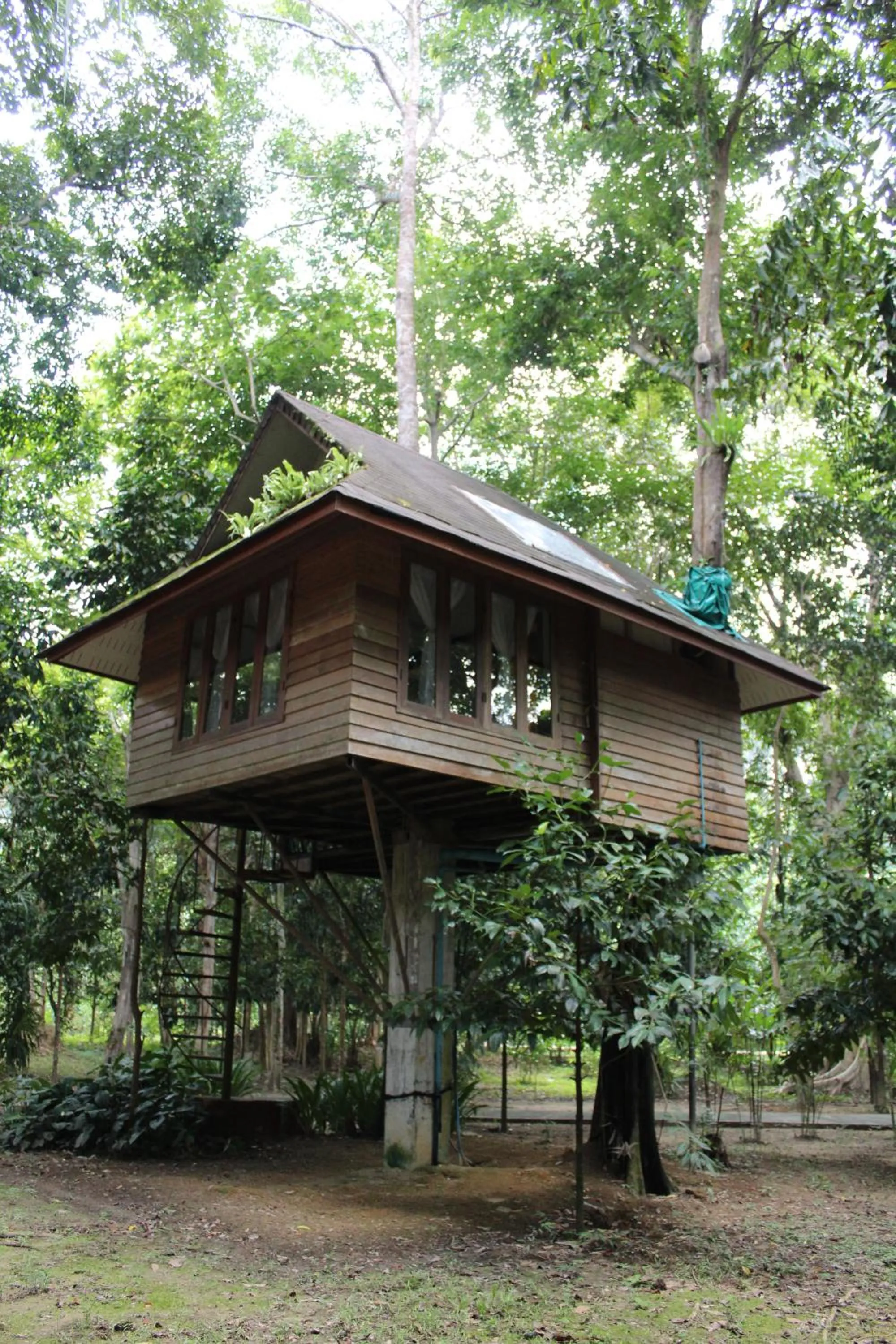 Day in Baan Khaosok Resort