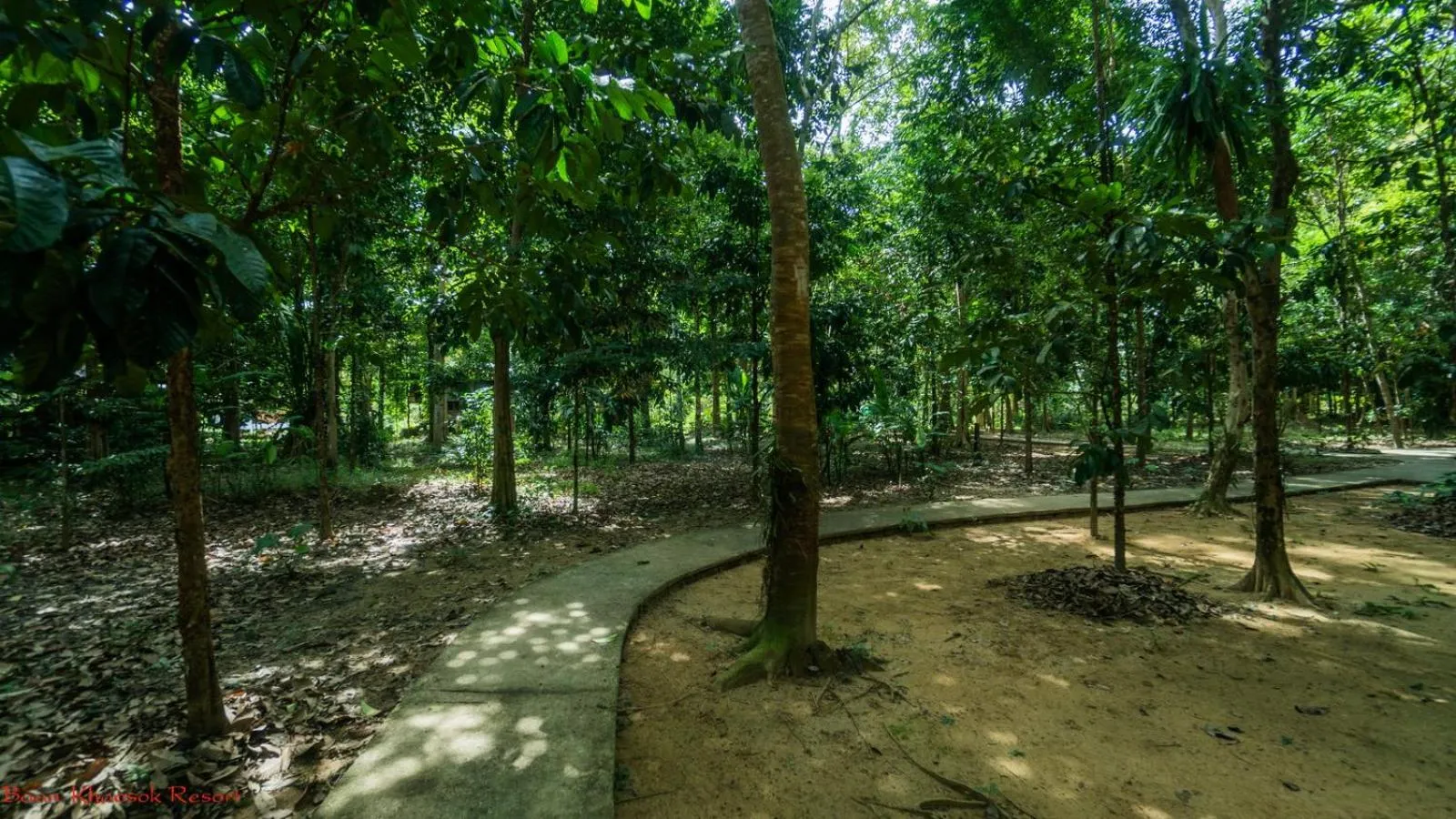 View (from property/room) in Baan Khaosok Resort