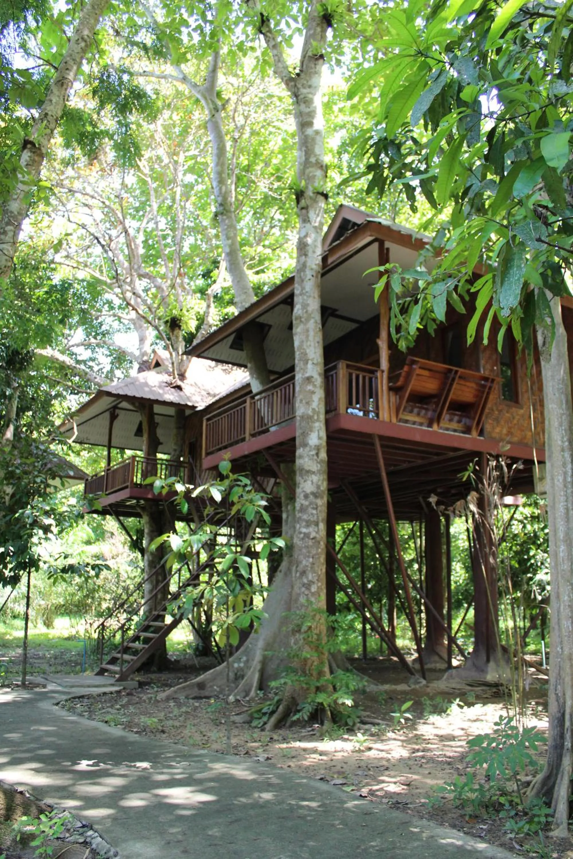 Day in Baan Khaosok Resort