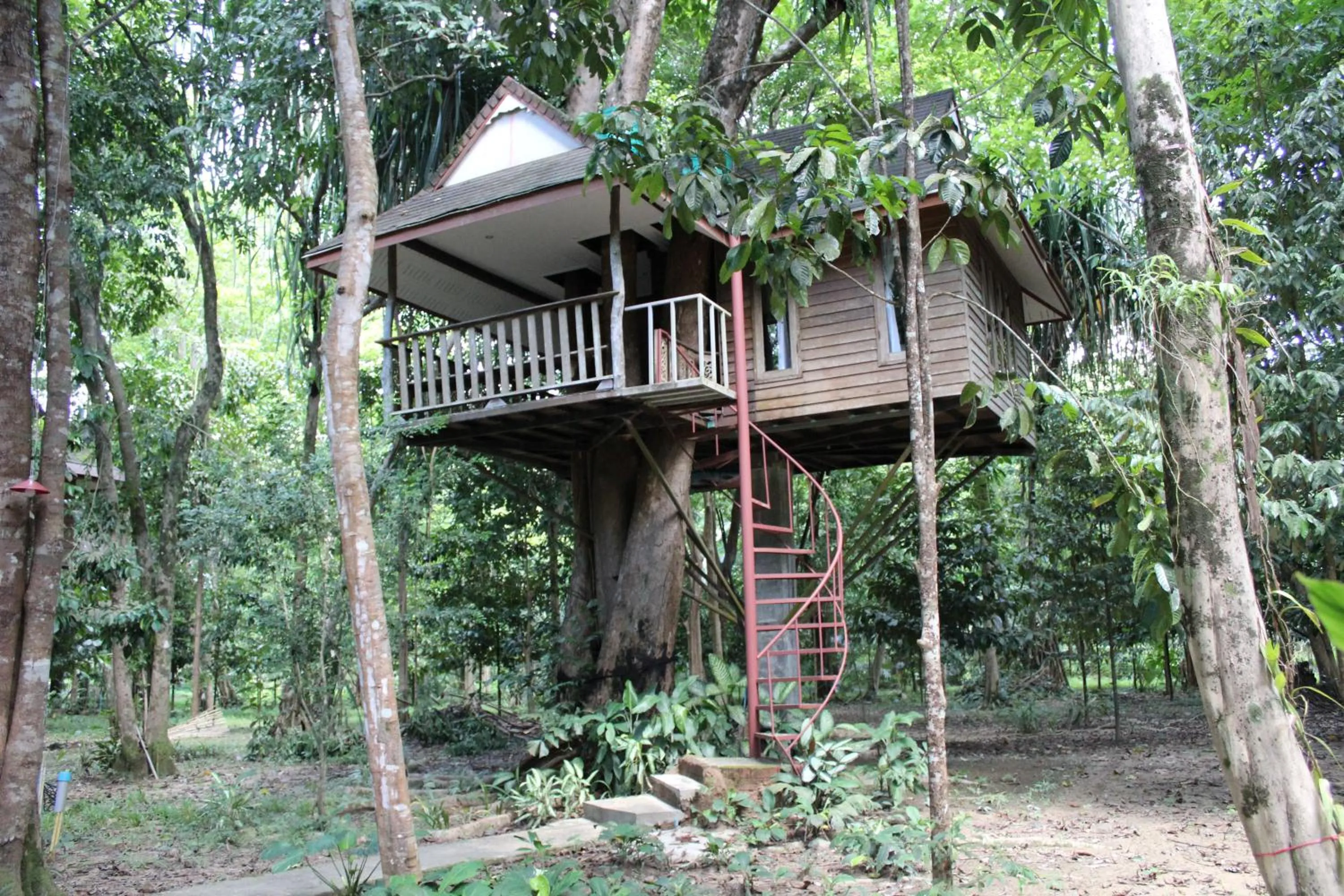 Day in Baan Khaosok Resort