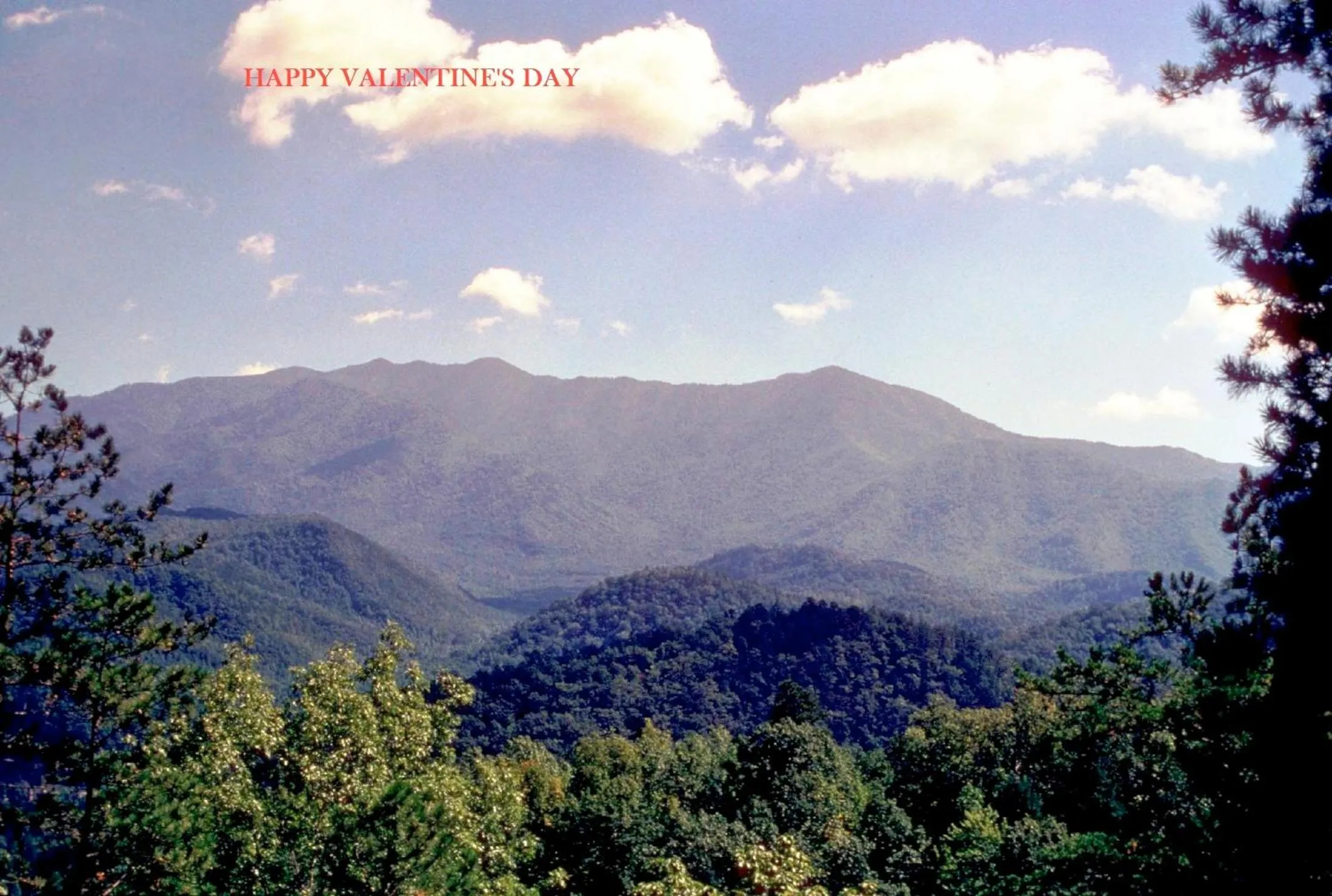 Day in Hotel Pigeon Forge