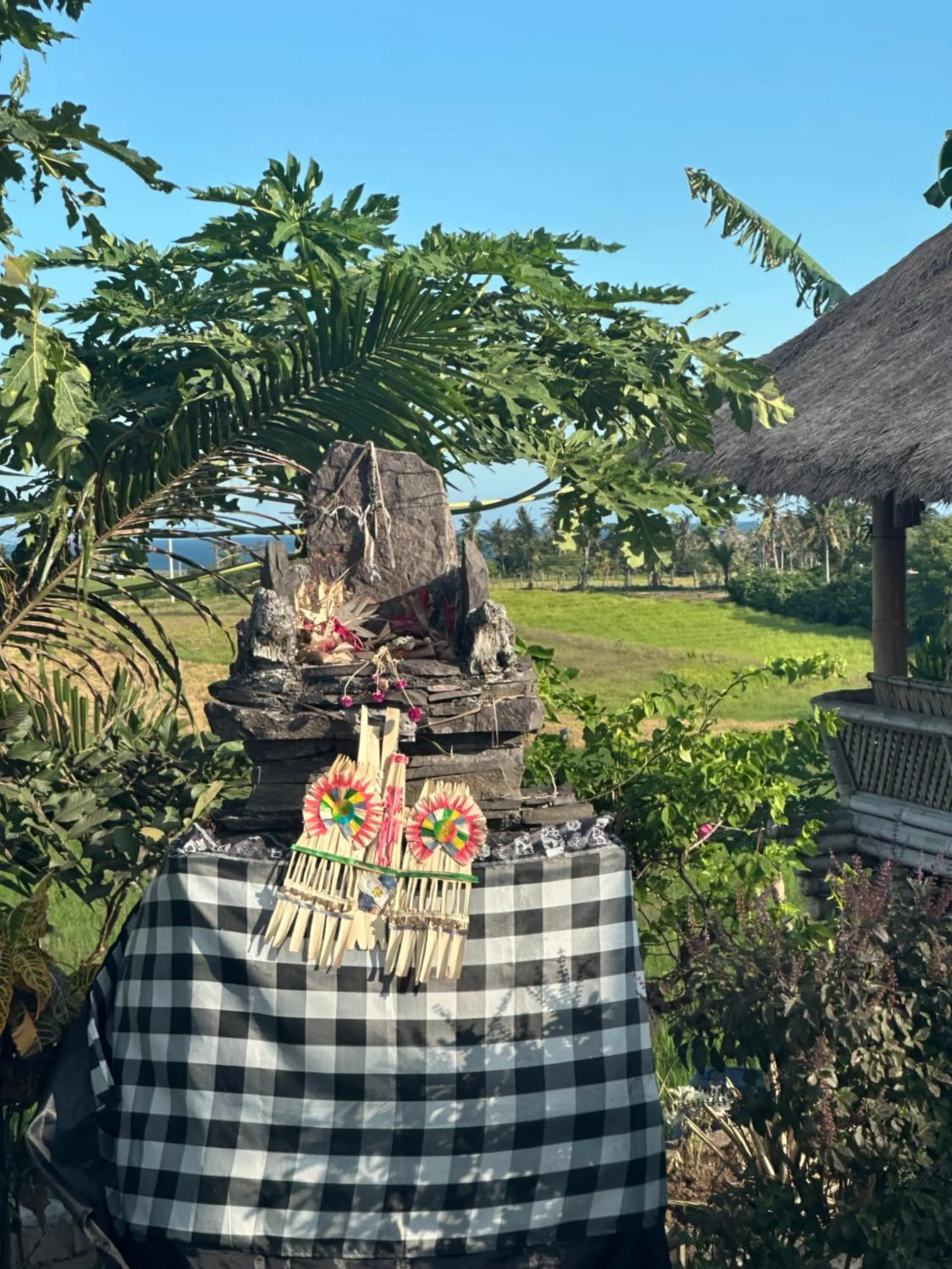 Natural landscape in Medewi Beach Inn