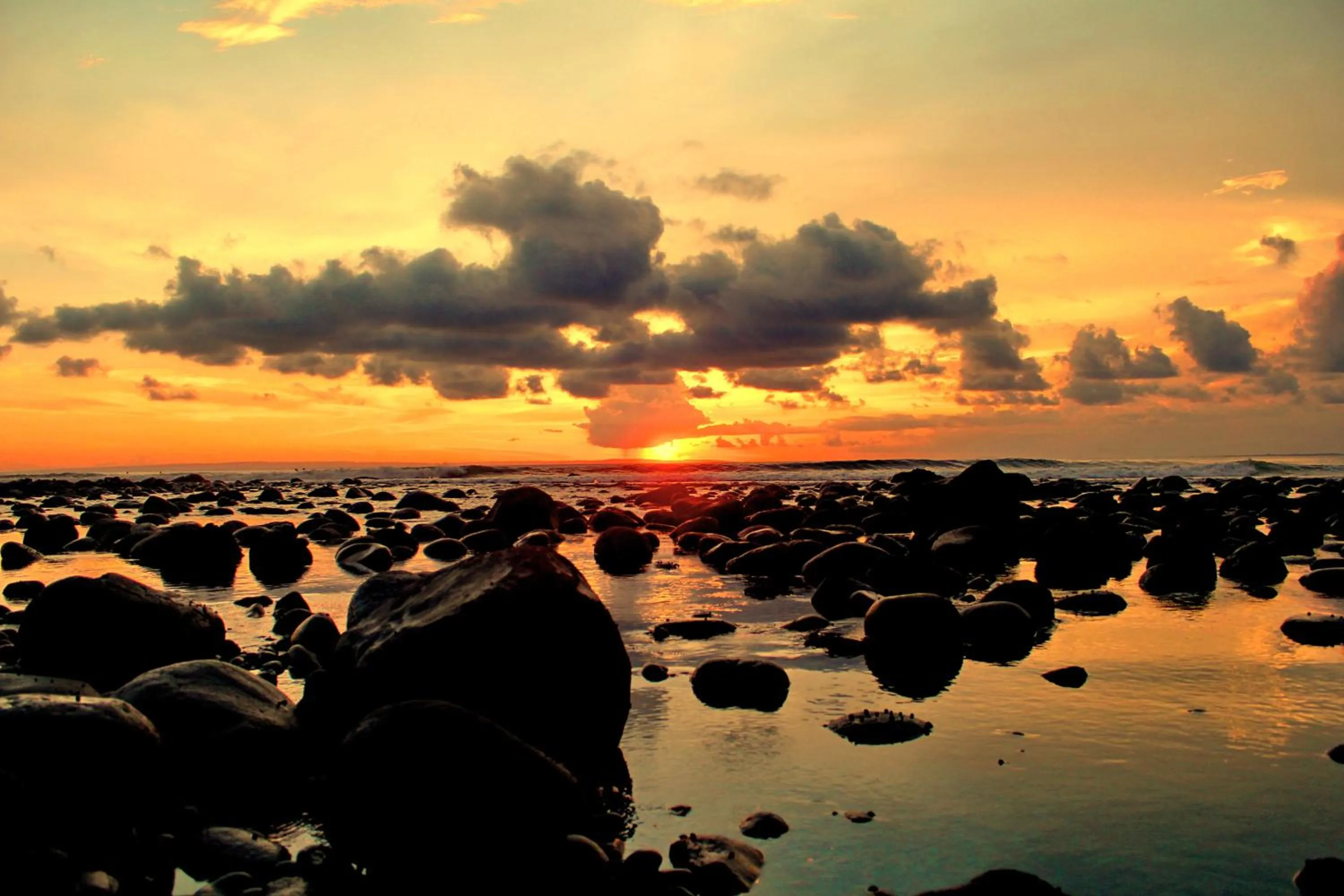 Natural landscape in Medewi Beach Inn