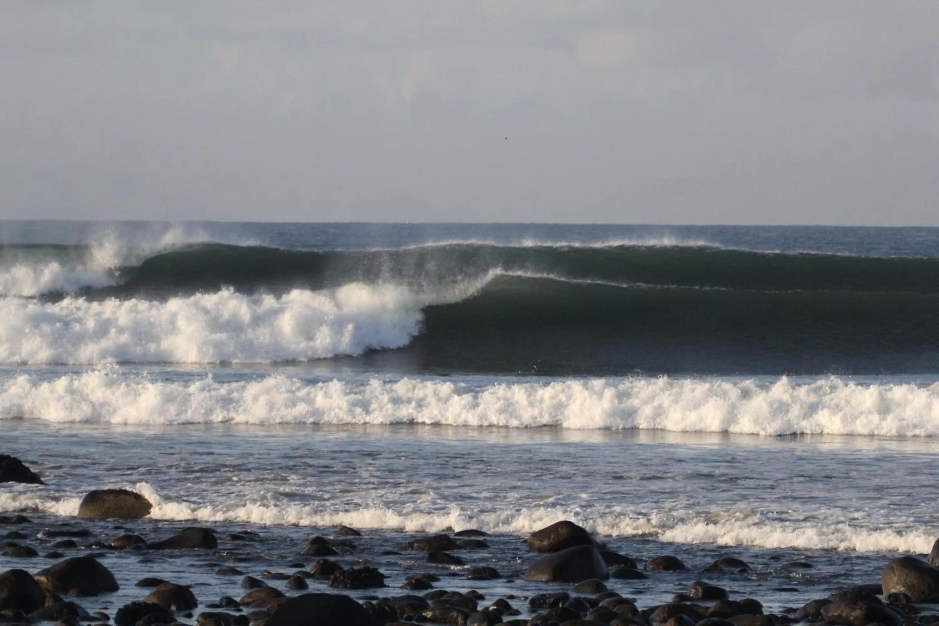 Beach in Medewi Beach Inn