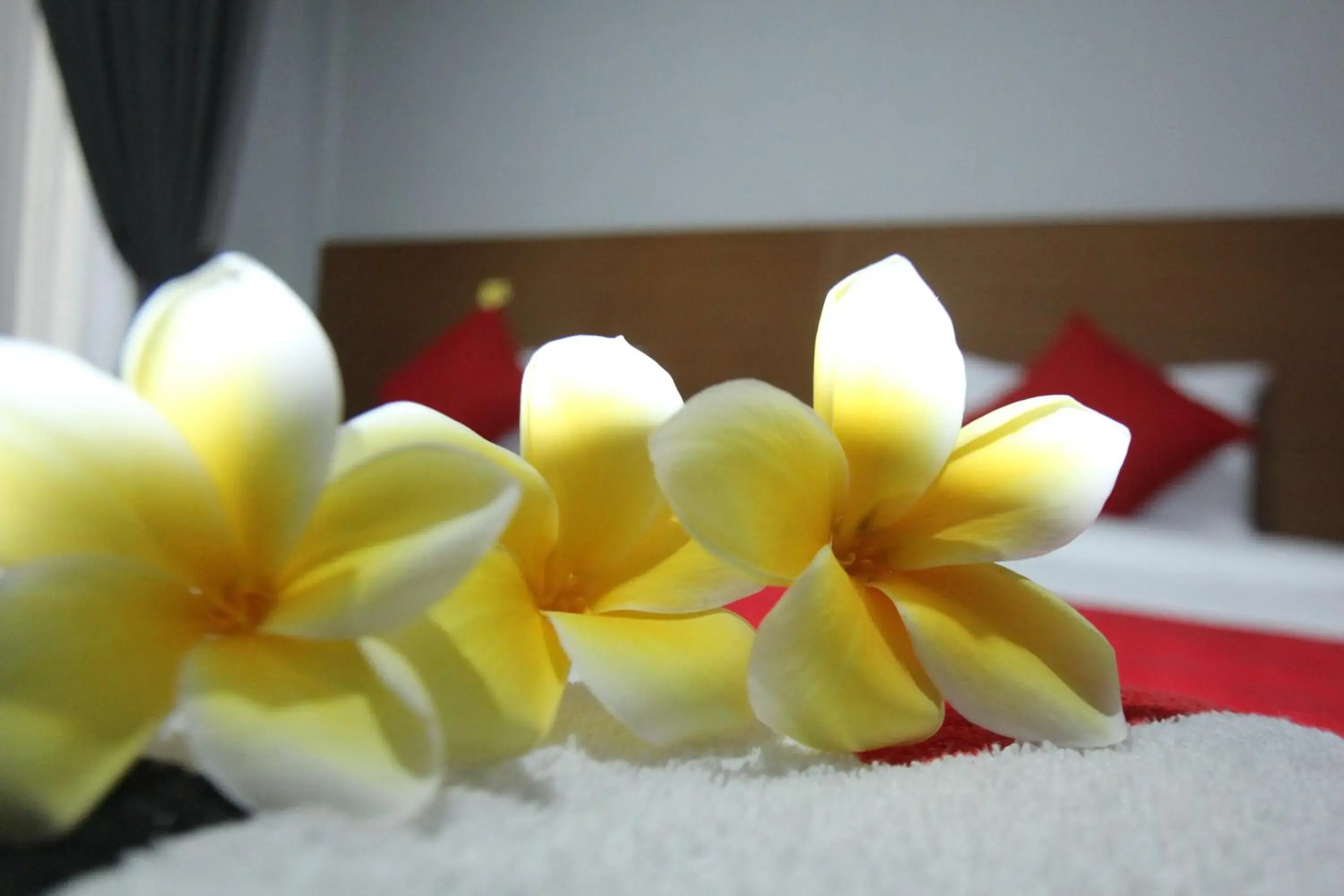 Bedroom in Tom Guest House Bedroom in Tom Guest House