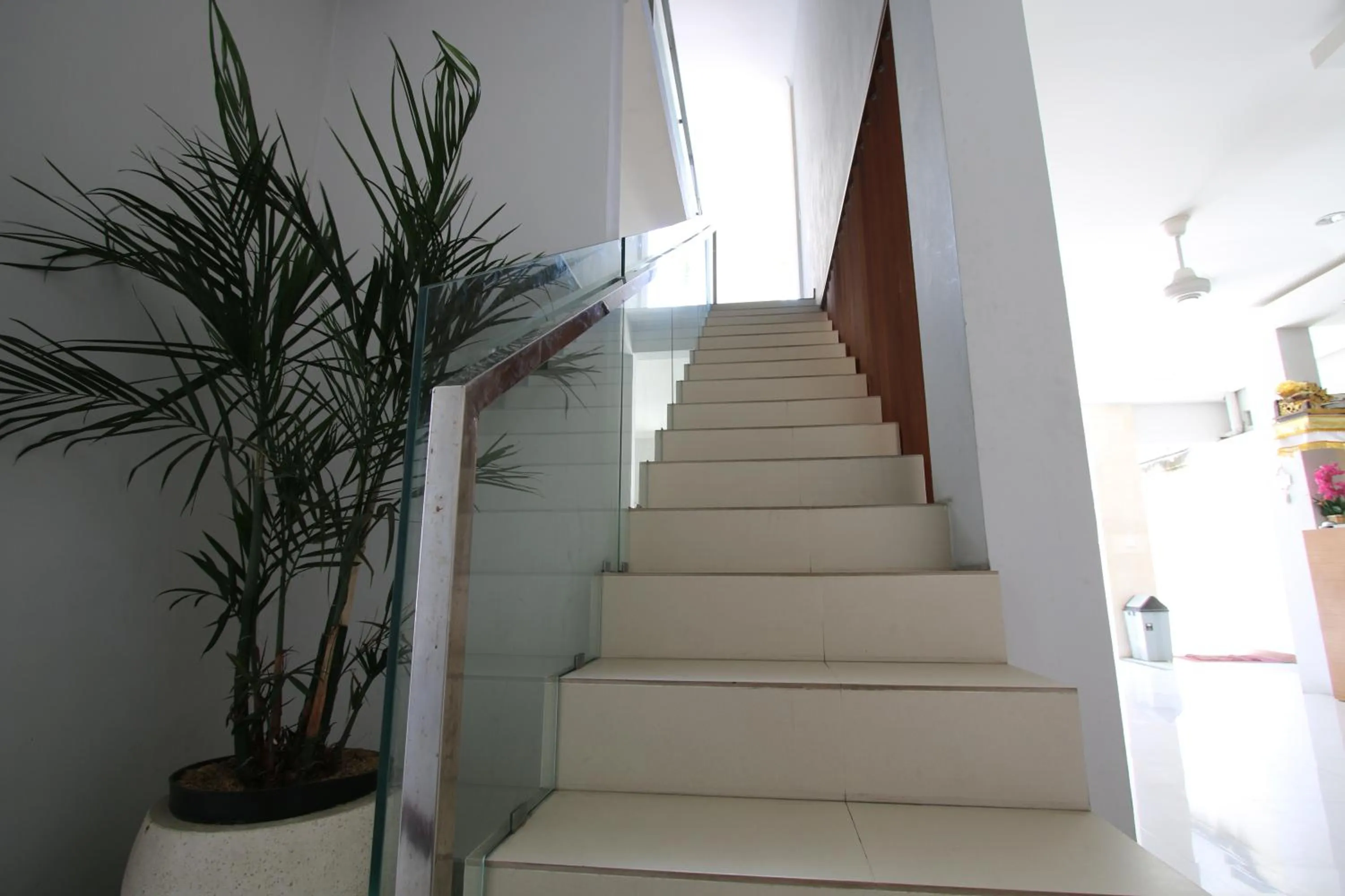 Facade/entrance in Tom Guest House