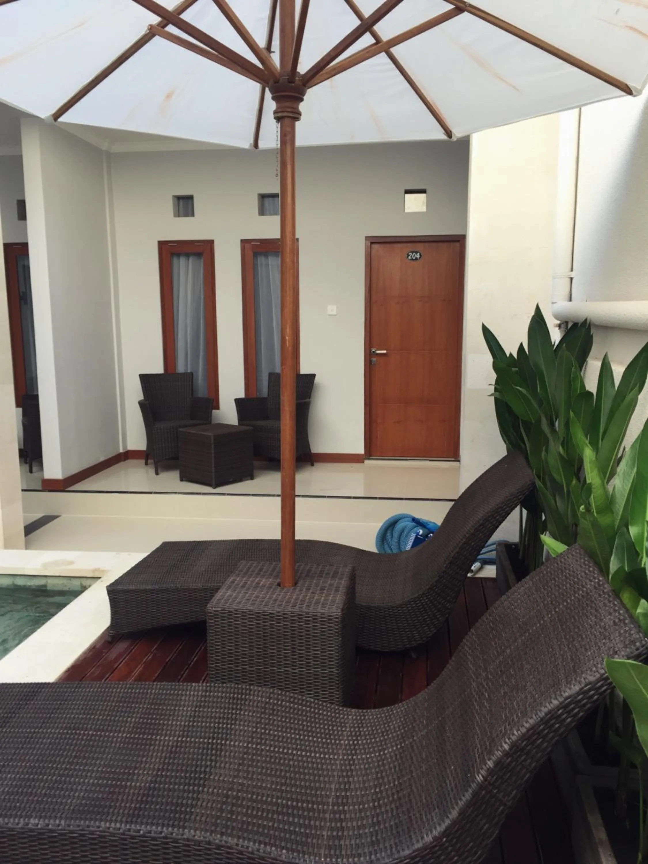 Garden in Tom Guest House