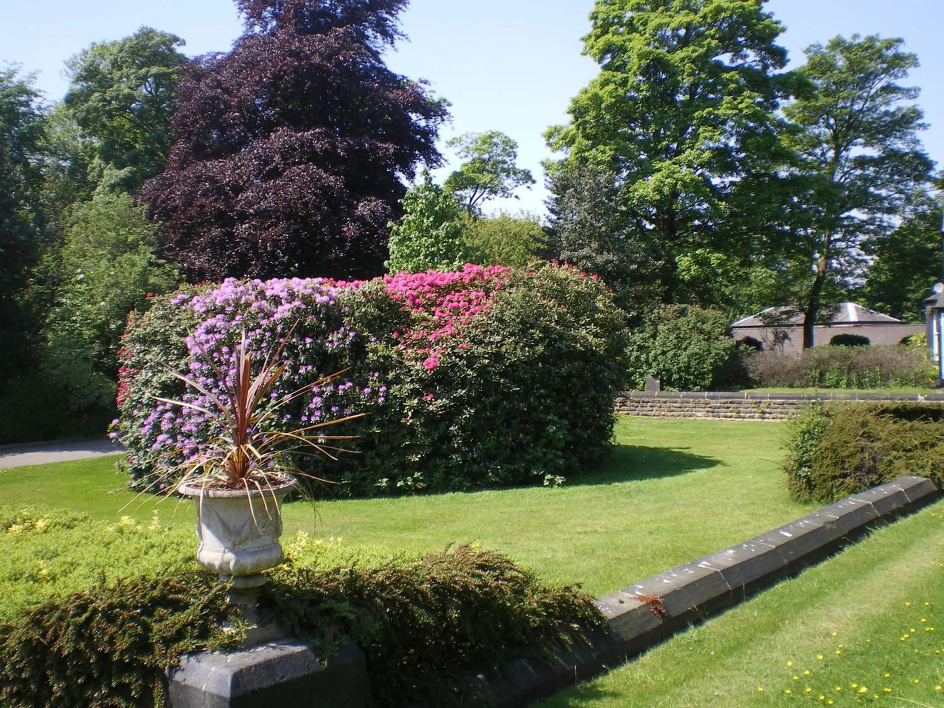 Garden in Hinsley Hall
