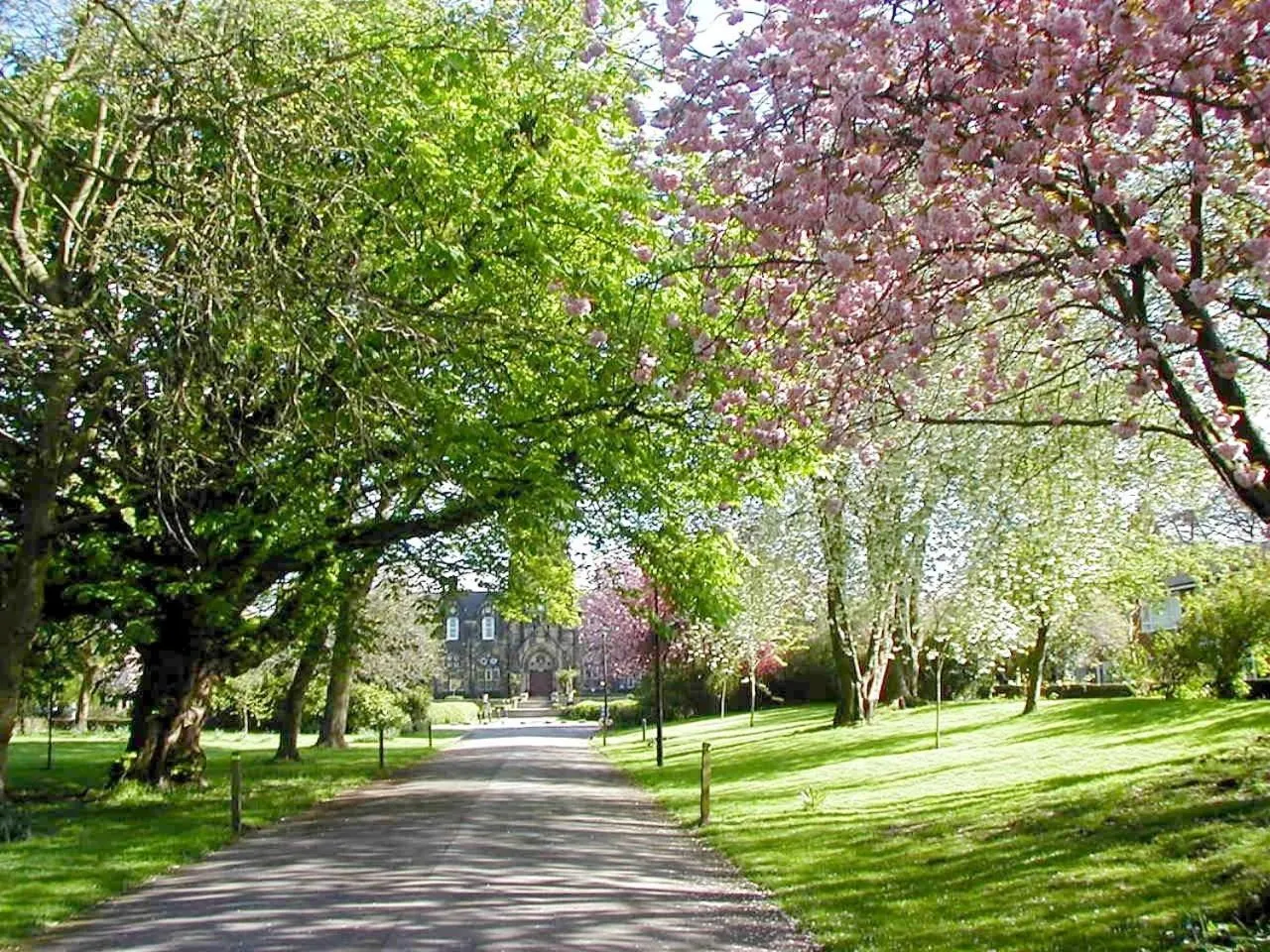 Summer in Hinsley Hall