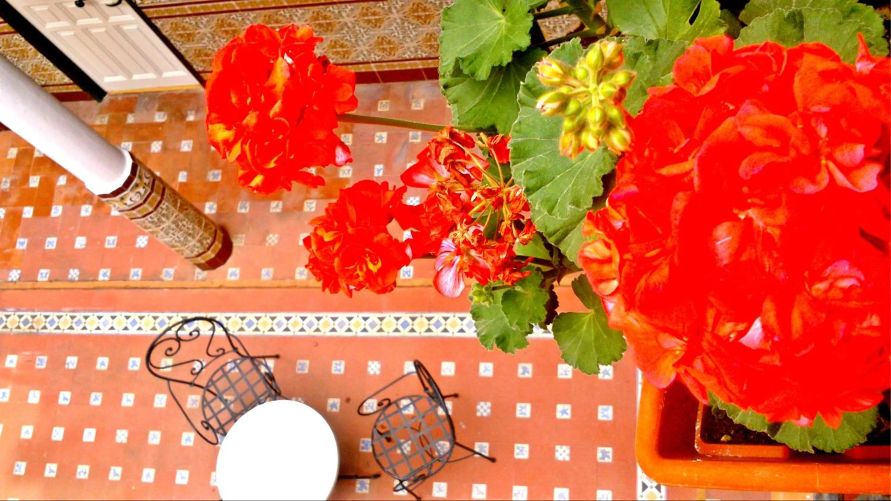 Patio in Al Andalus Jerez