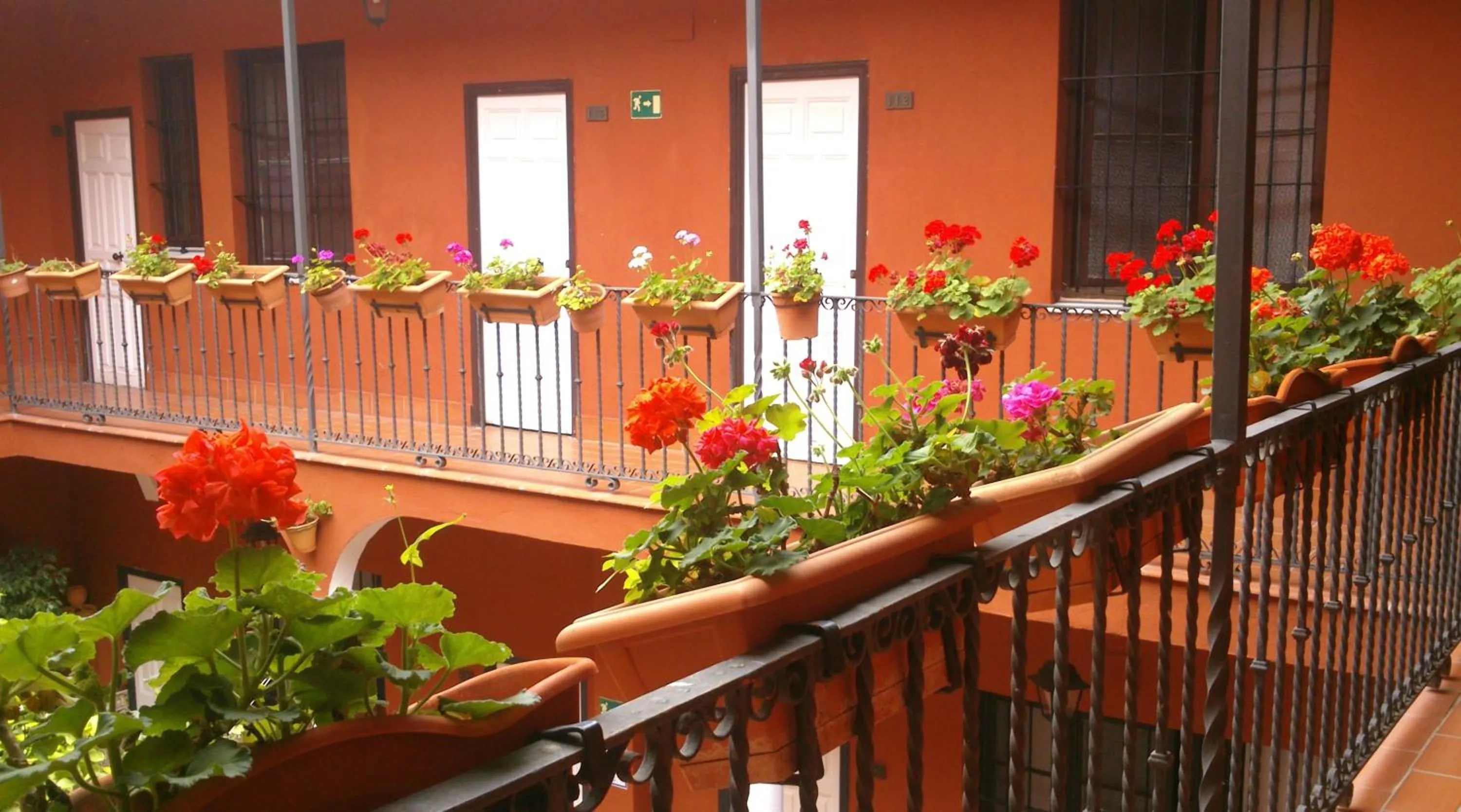 Bird's eye view in Al Andalus Jerez