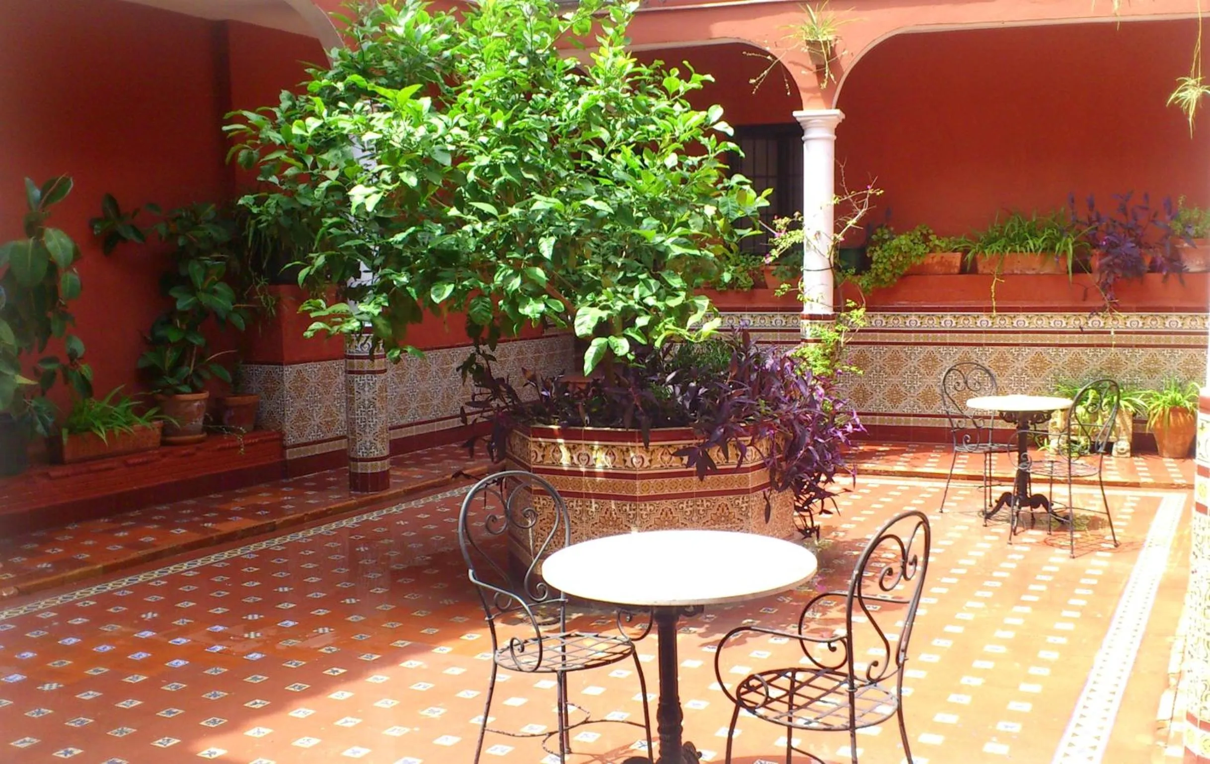 Patio in Al Andalus Jerez