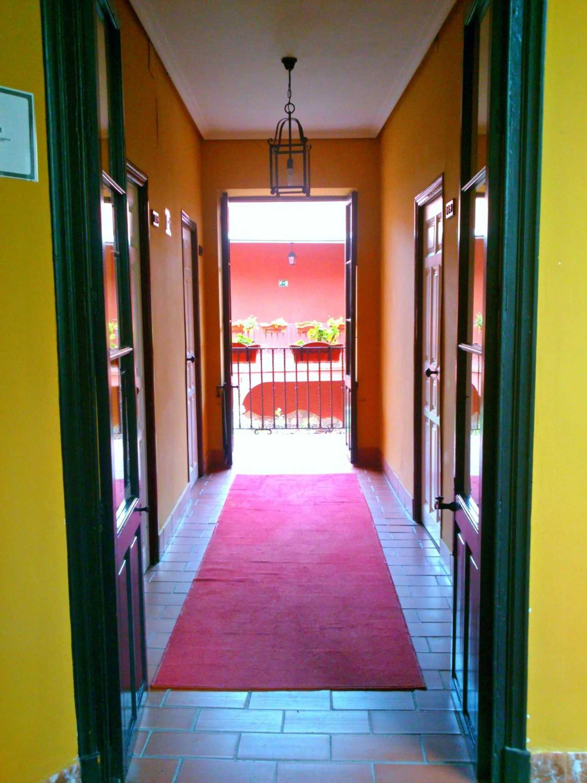 Bird's eye view in Al Andalus Jerez