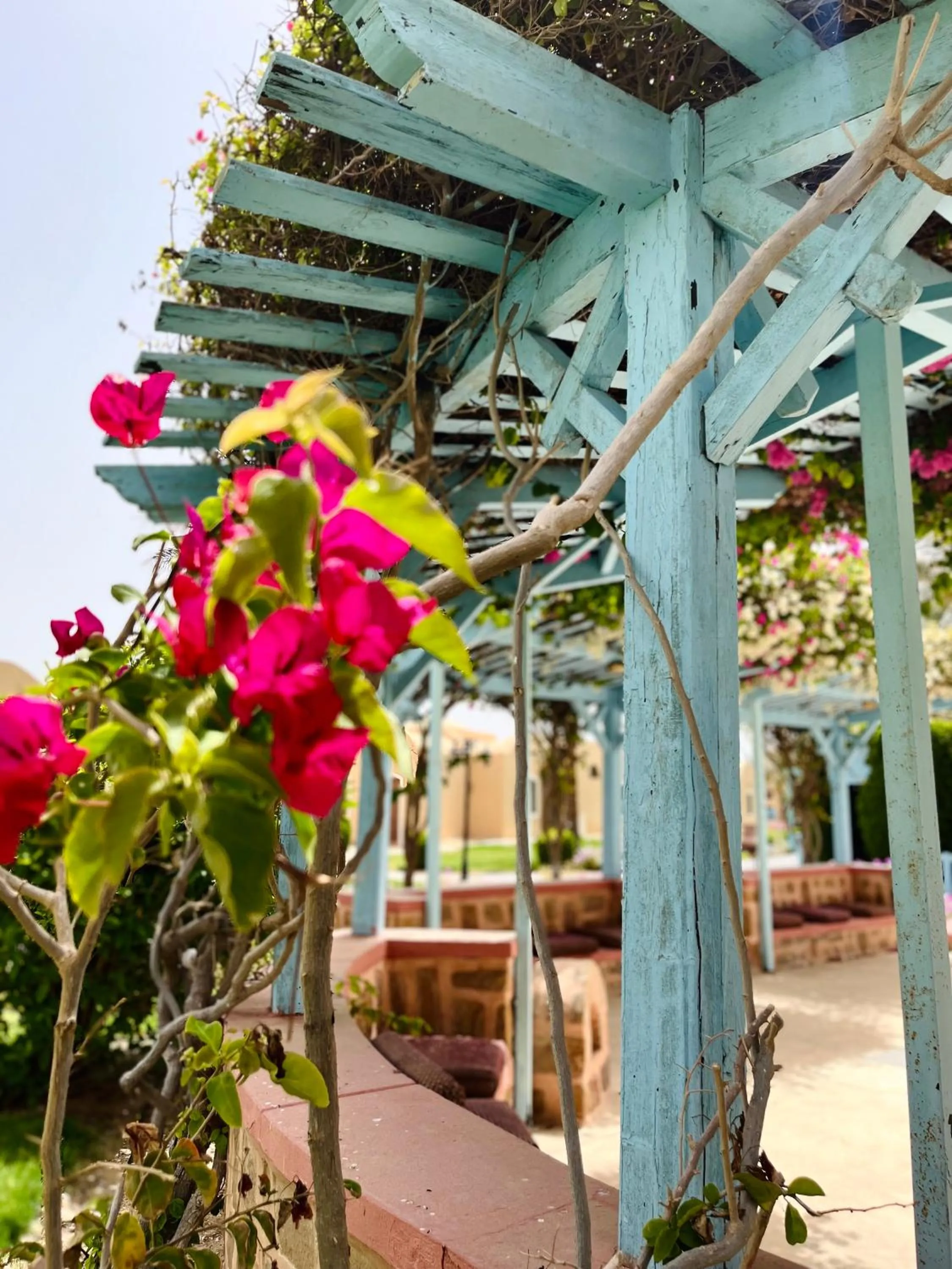 Garden in Radisson Blu Resort El Quseir