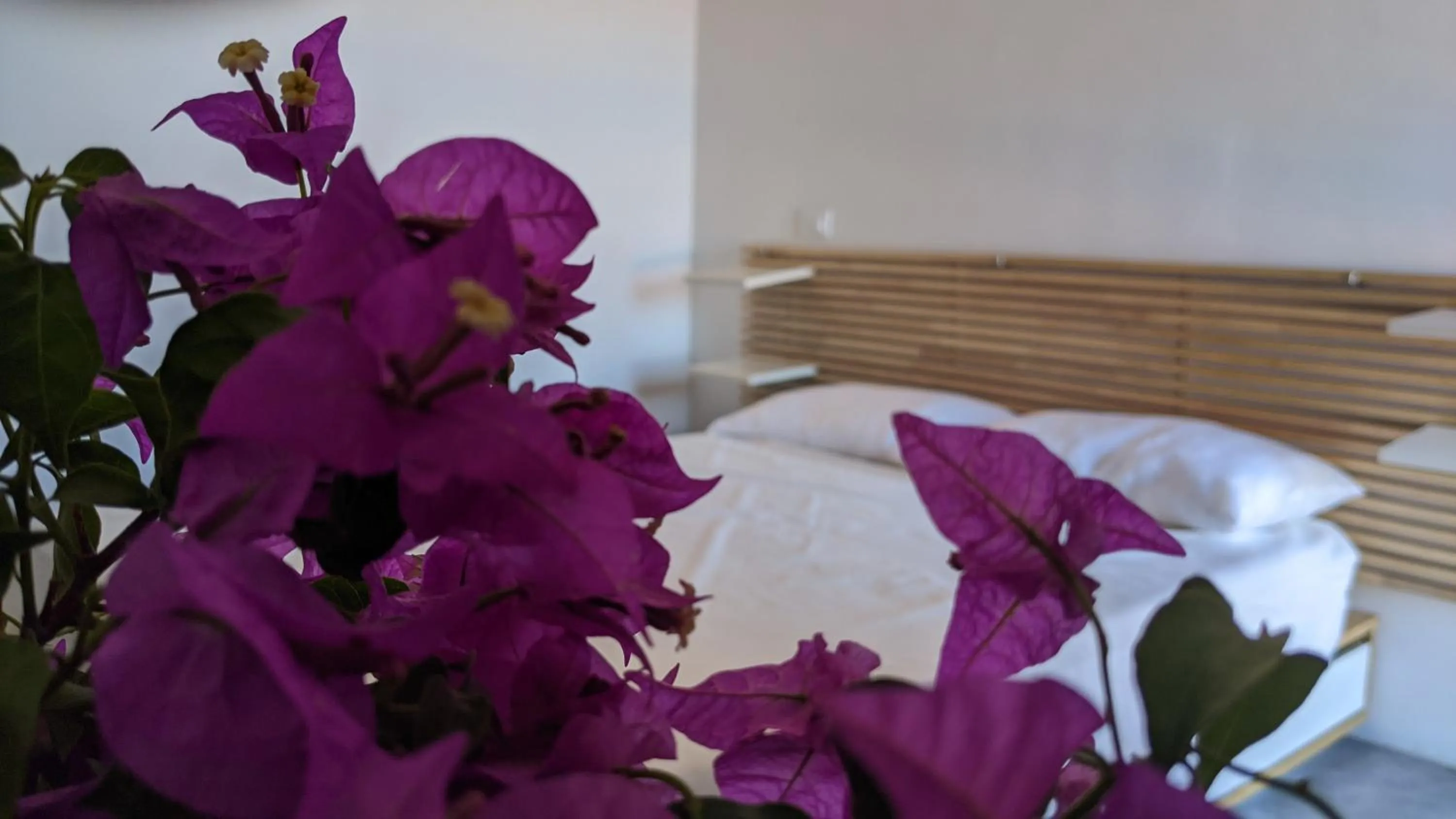 Bed in Horizon Pantelleria