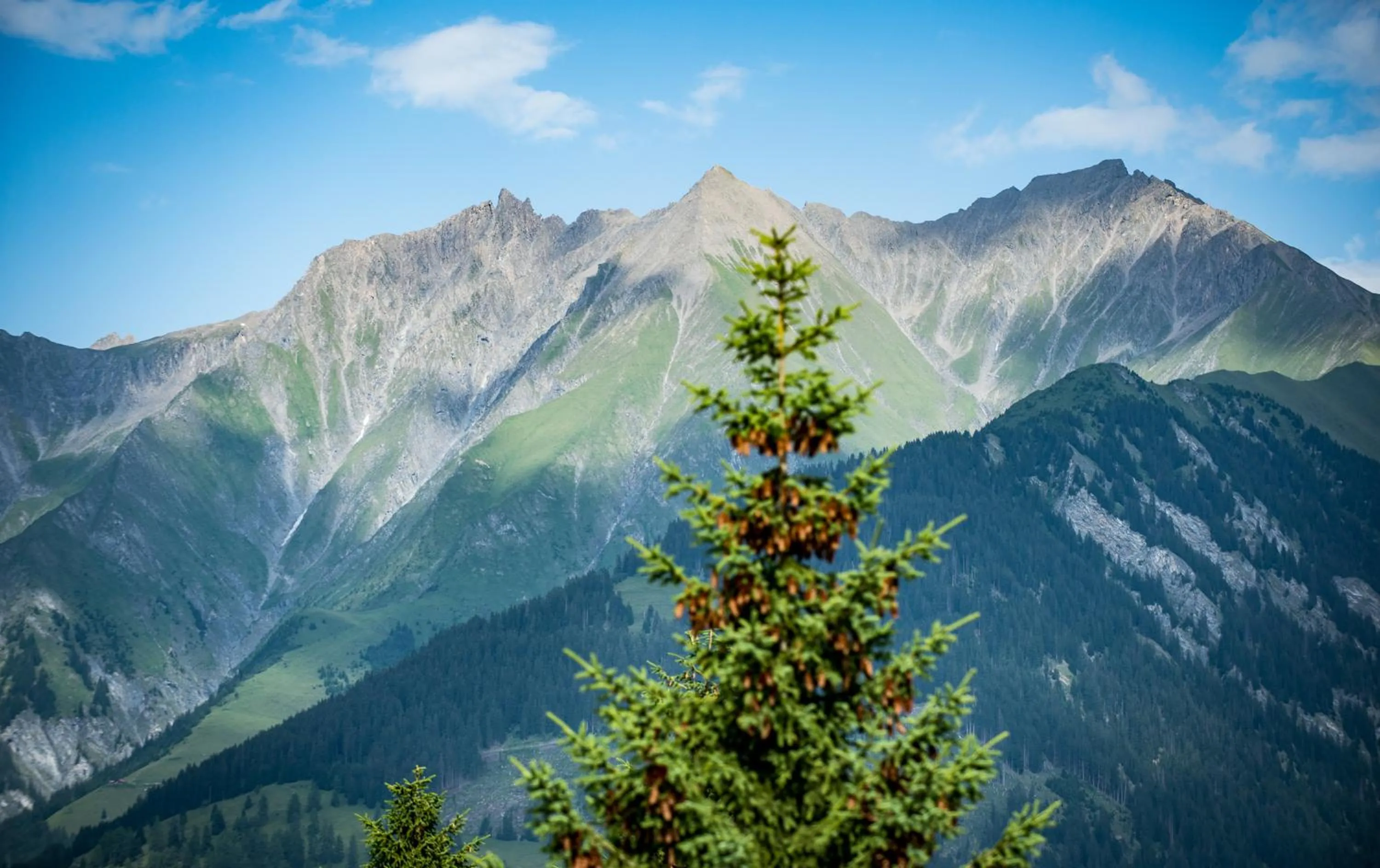 Summer in Boutique Hotel Pellas