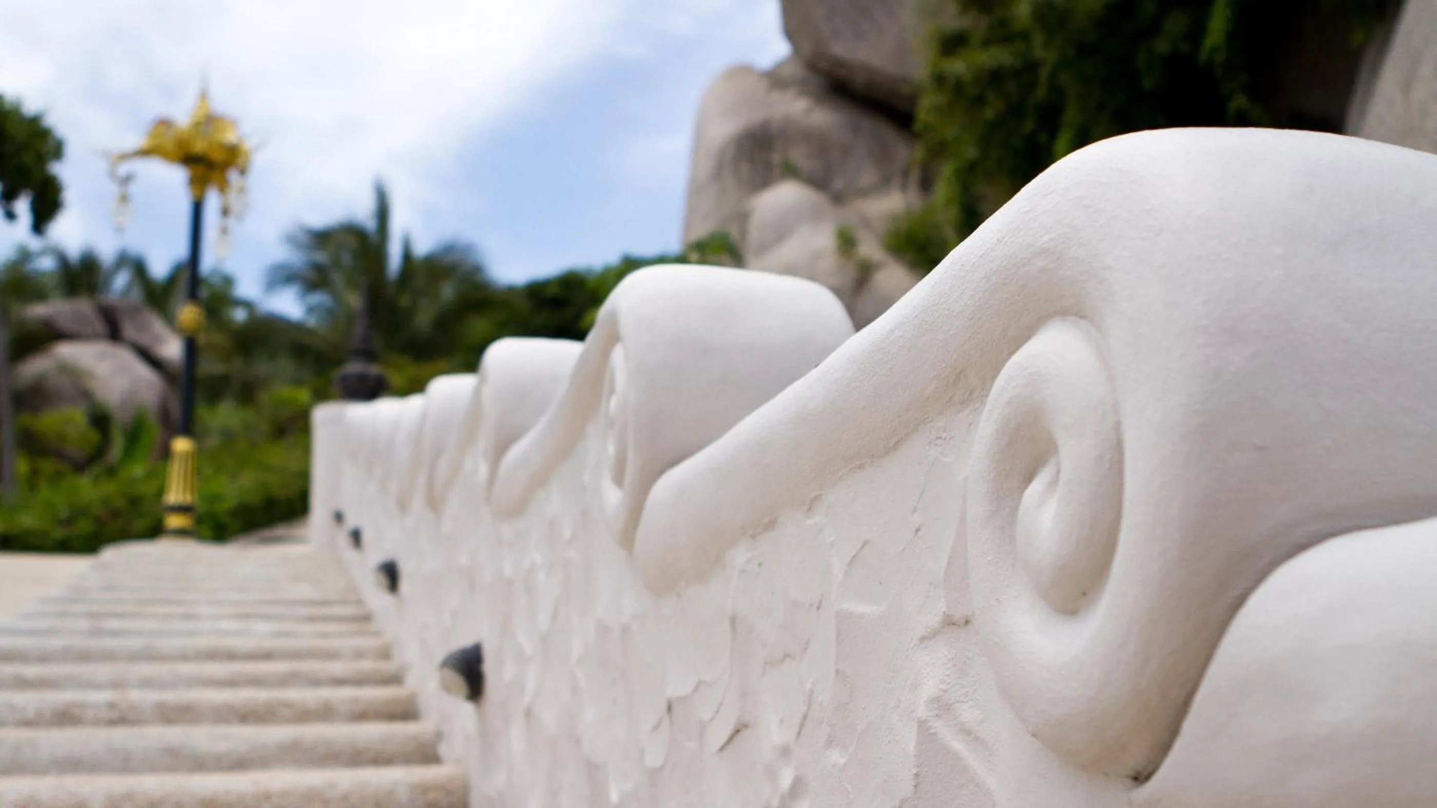 Other in Jamahkiri Dive Resort & Spa