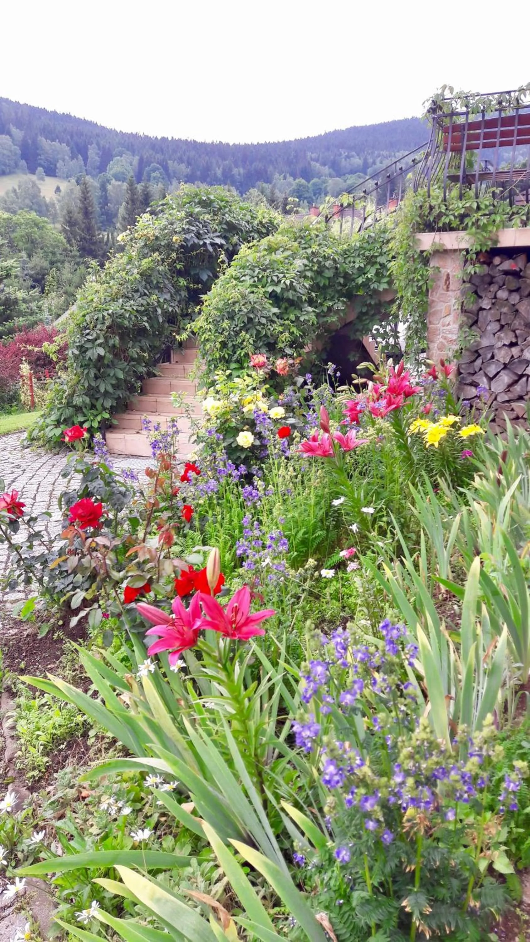 Facade/entrance in Apartamenty Dom na Wzgórzu Gardenia