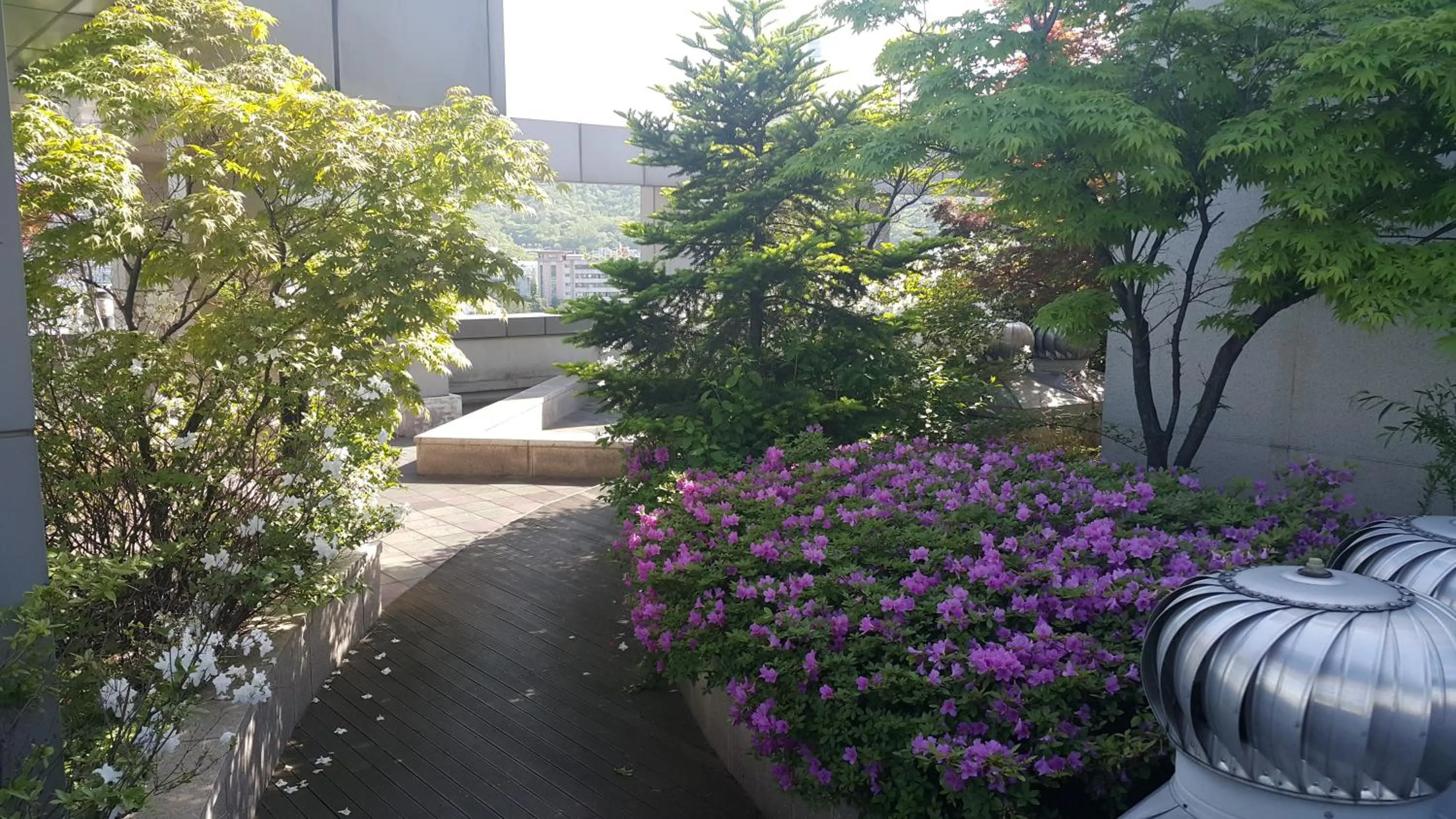 Property building in Hyundai Residence