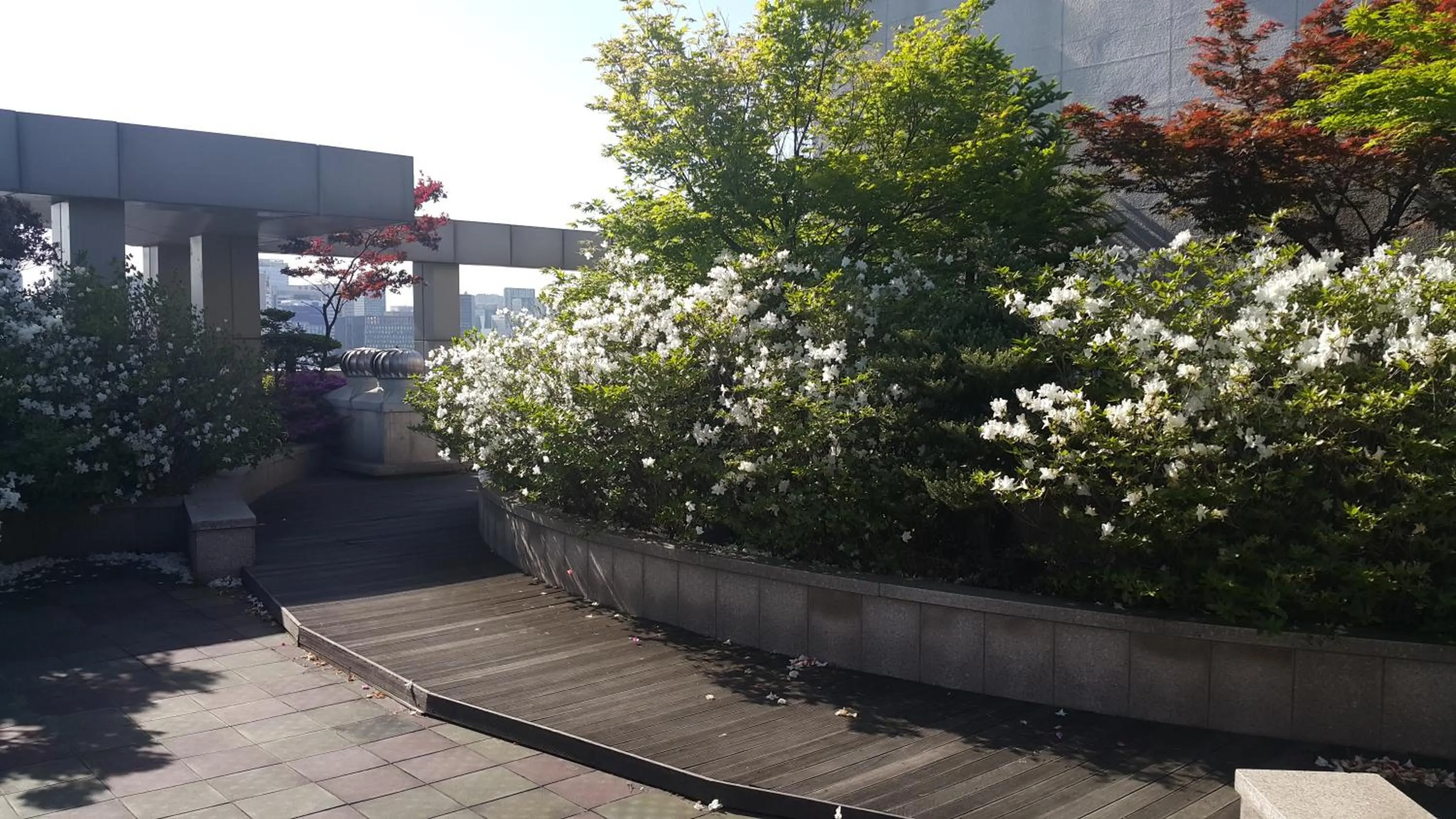 Property building in Hyundai Residence