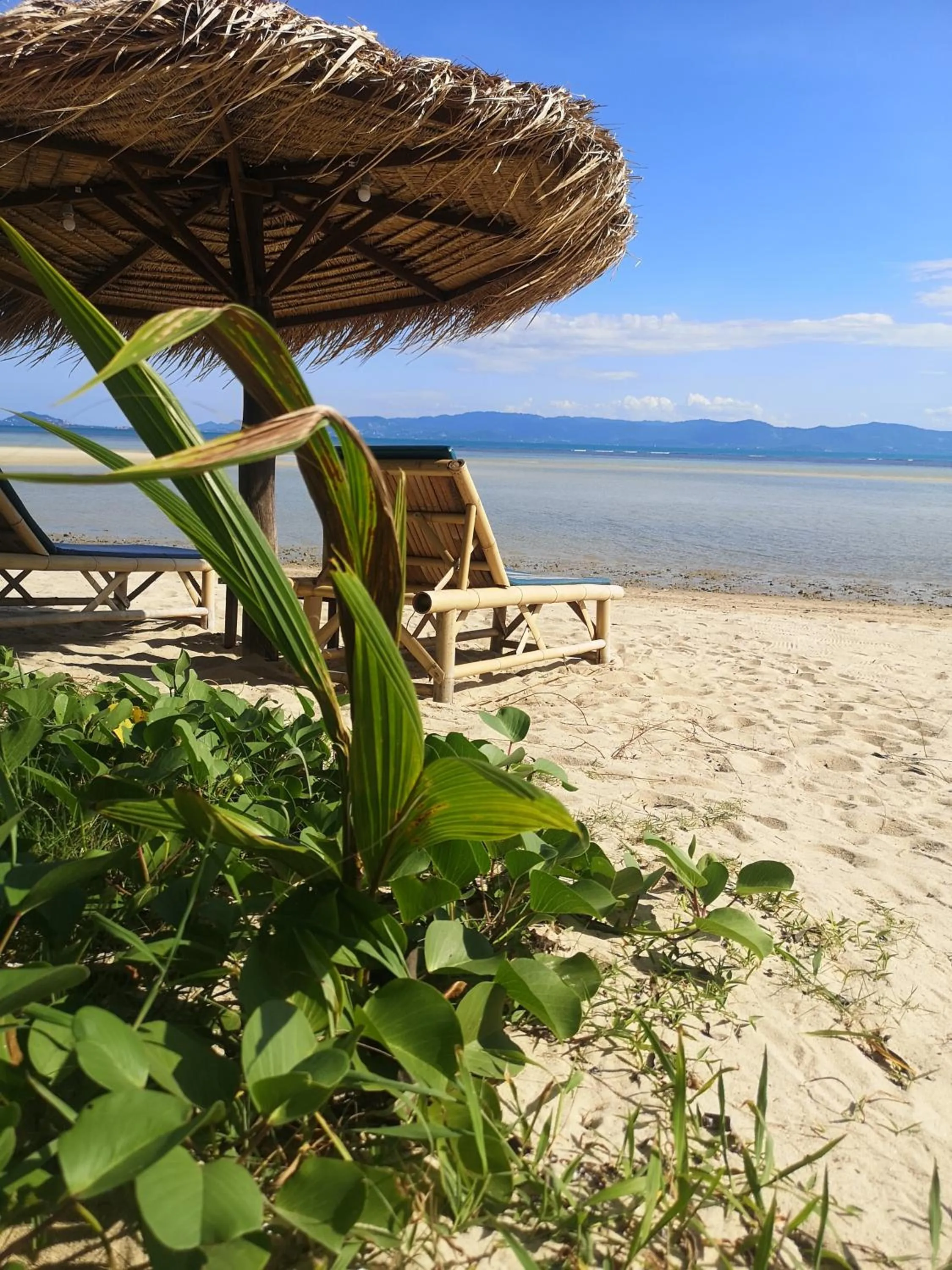 Beach in SeaEsta Beach