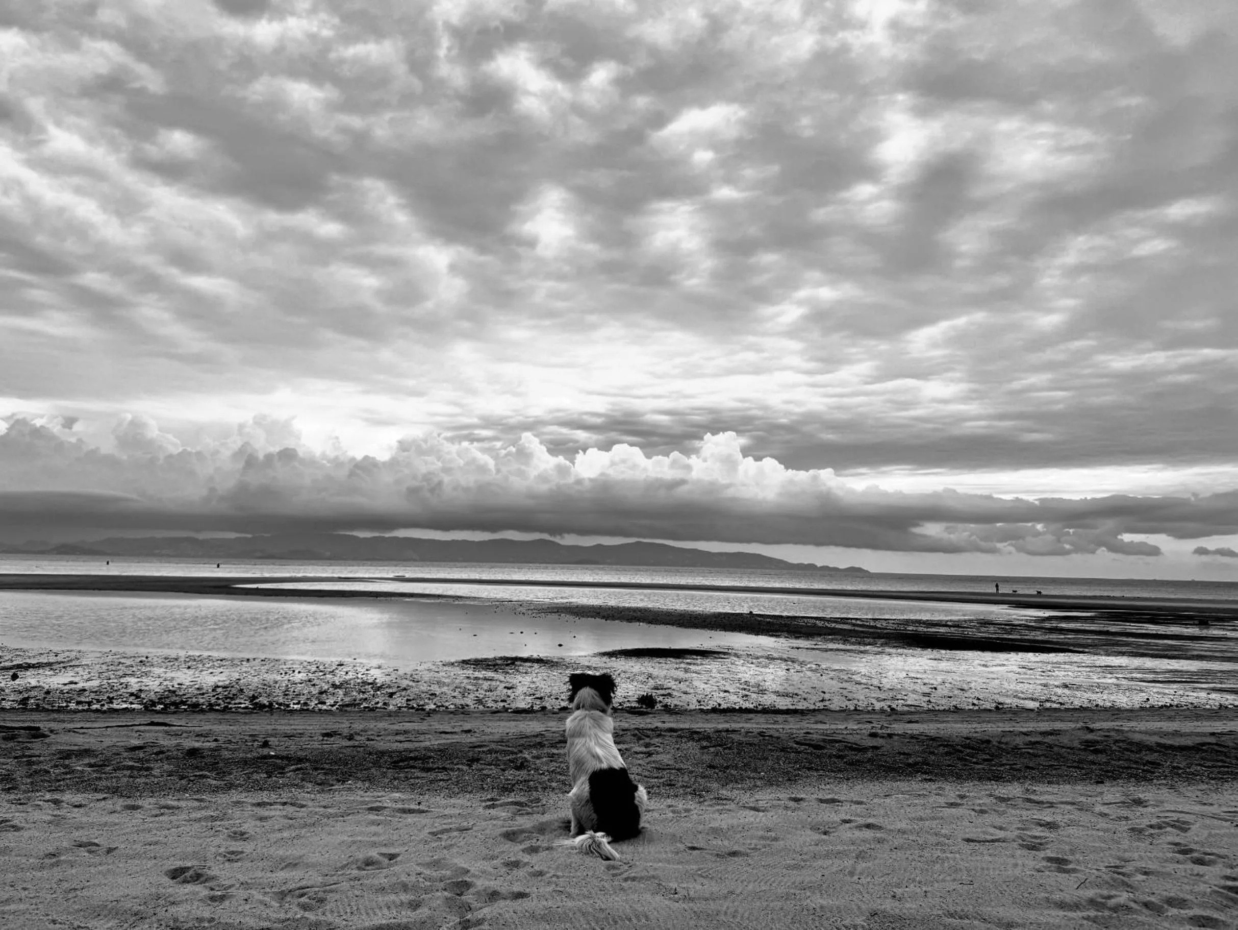 Day in SeaEsta Beach