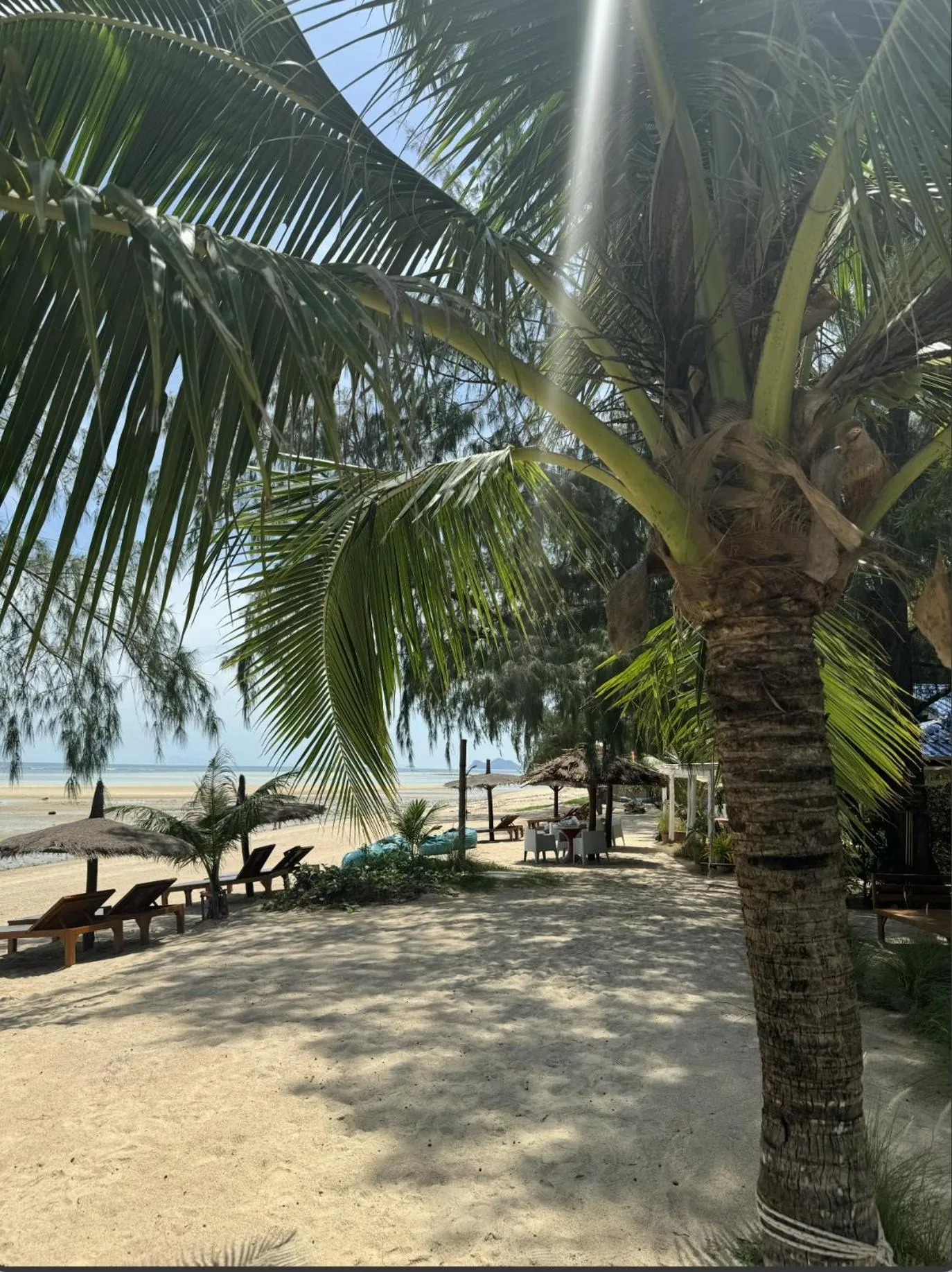 Property building in SeaEsta Beach