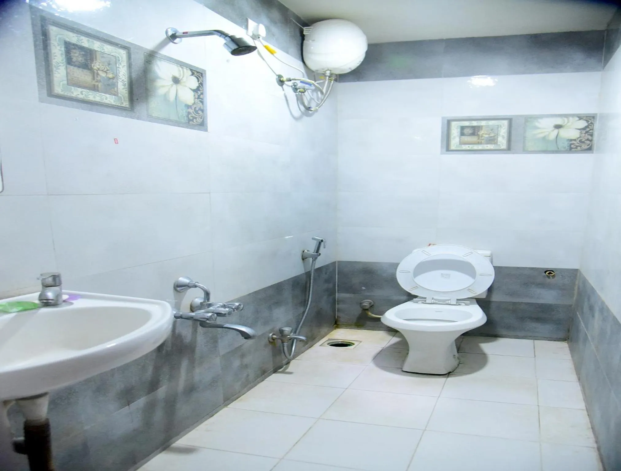 Bathroom in Hotel Parag