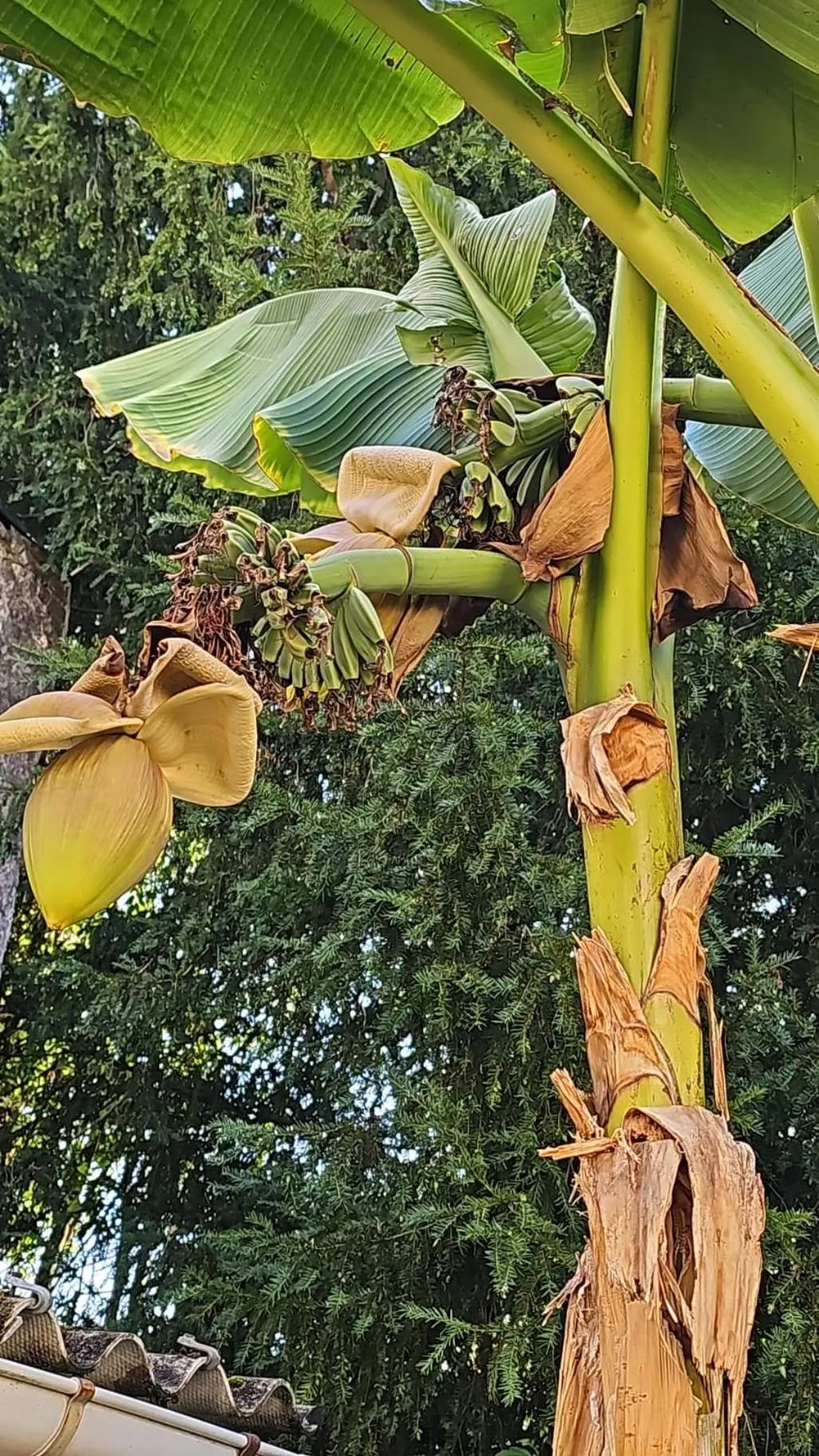 Inner courtyard view in Meung sur Loire sur la route des Châteaux