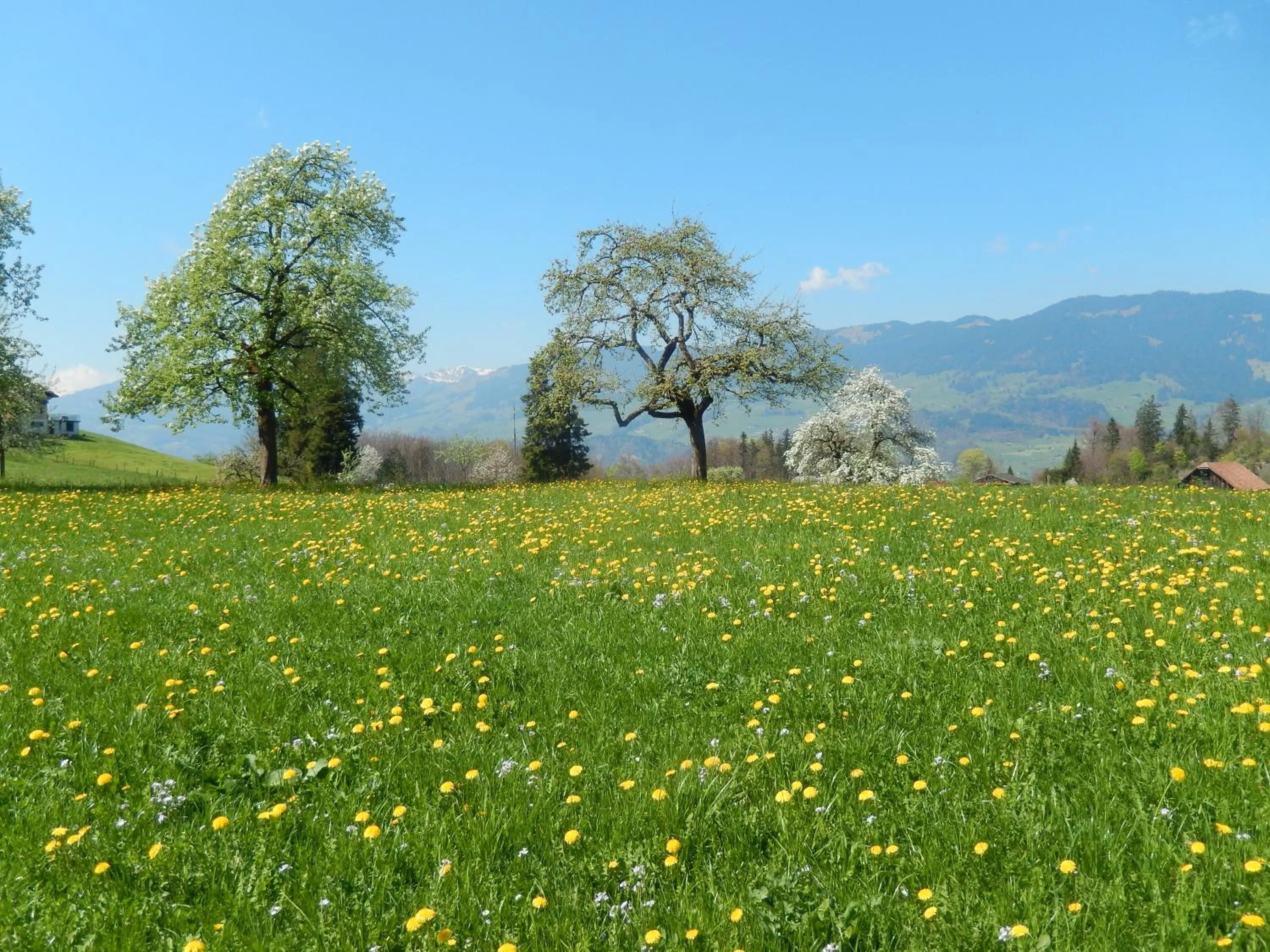 Hotel Klausenhof Flüeli