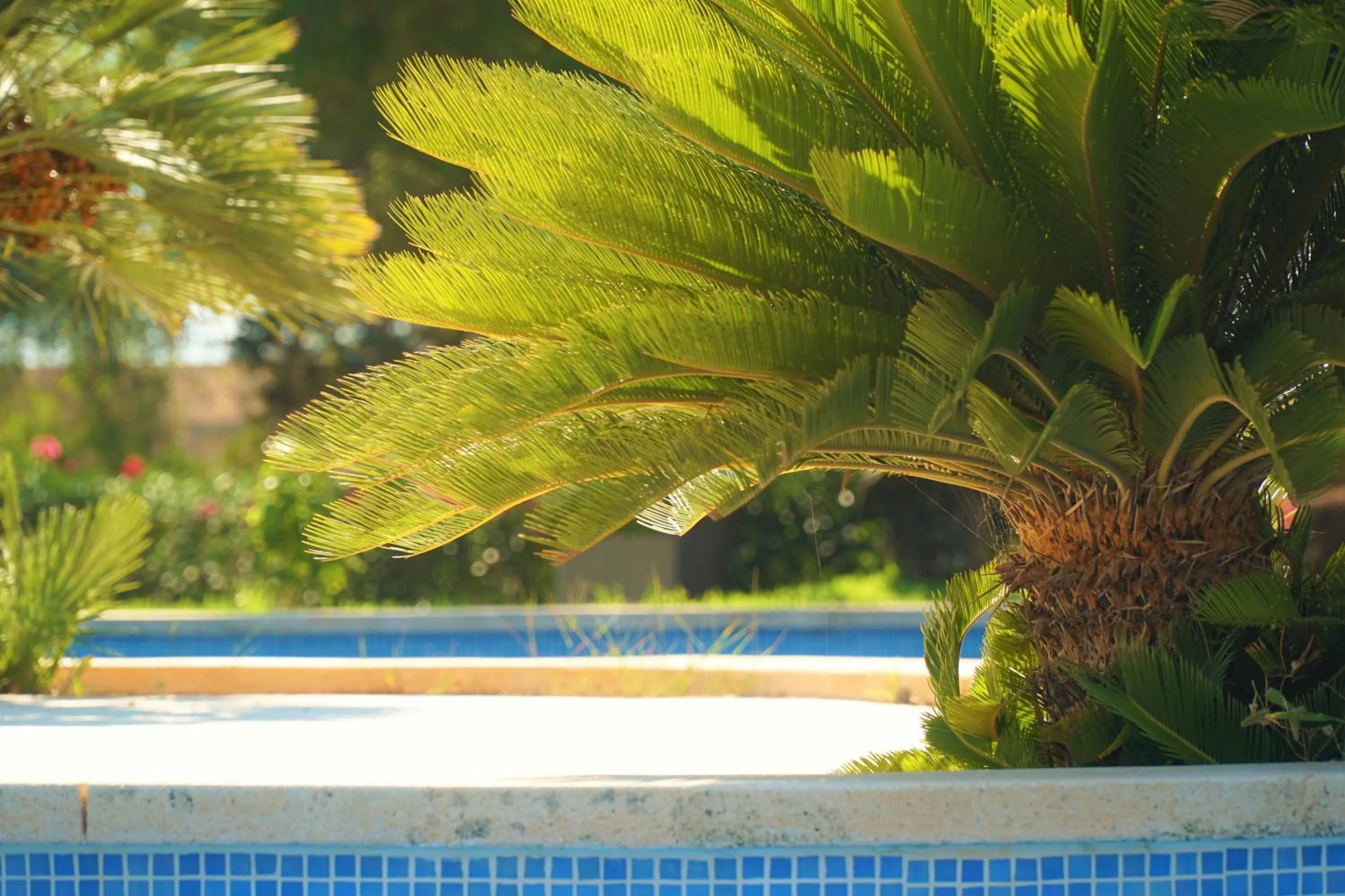 Agroturismo Finca Sa Tanca