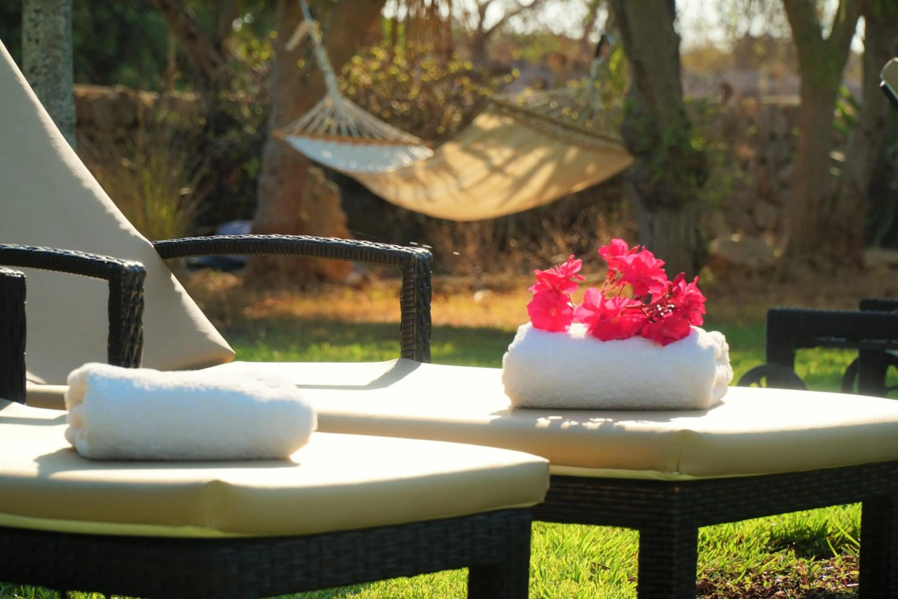 Agroturismo Finca Sa Tanca