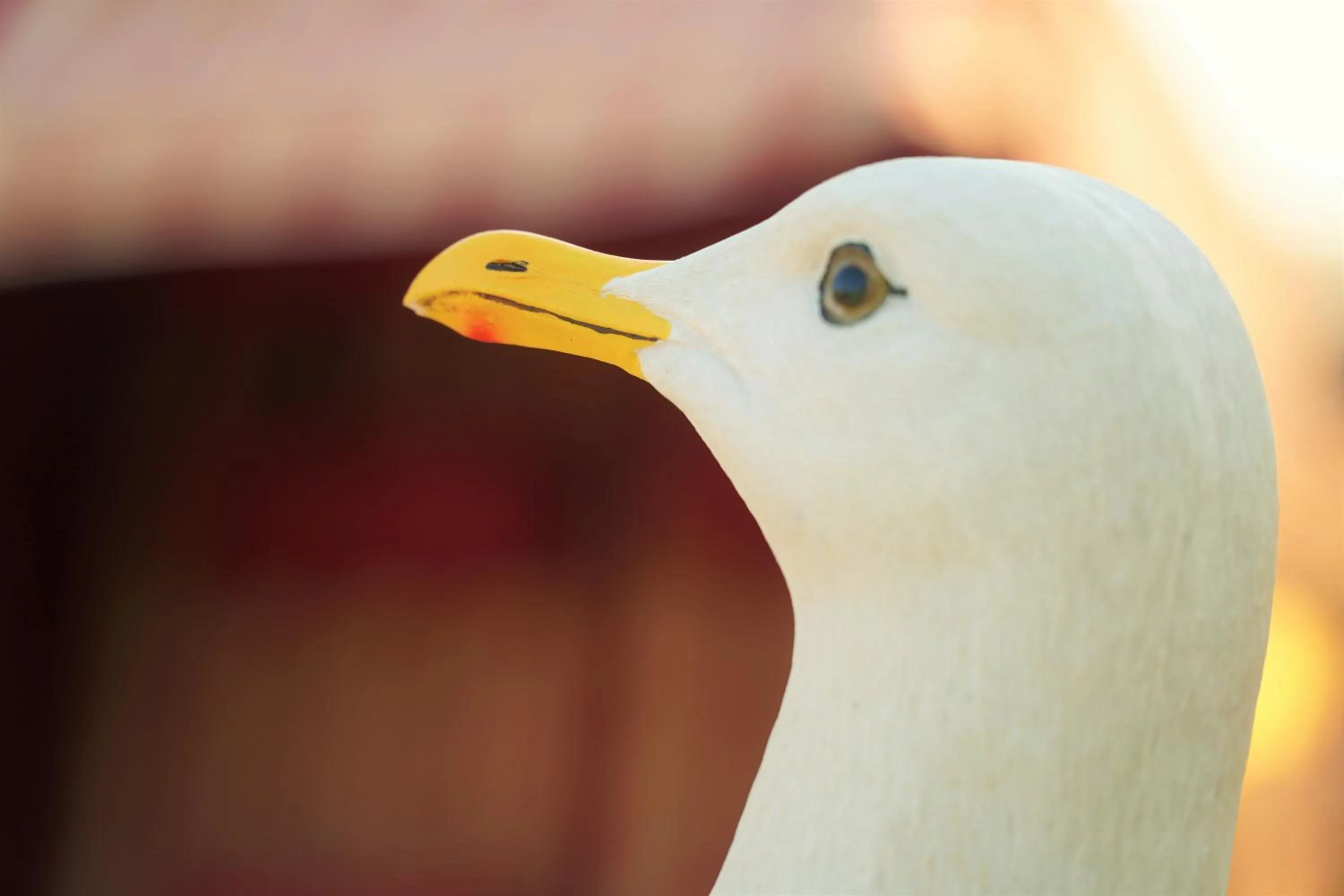 Agroturismo Finca Sa Tanca