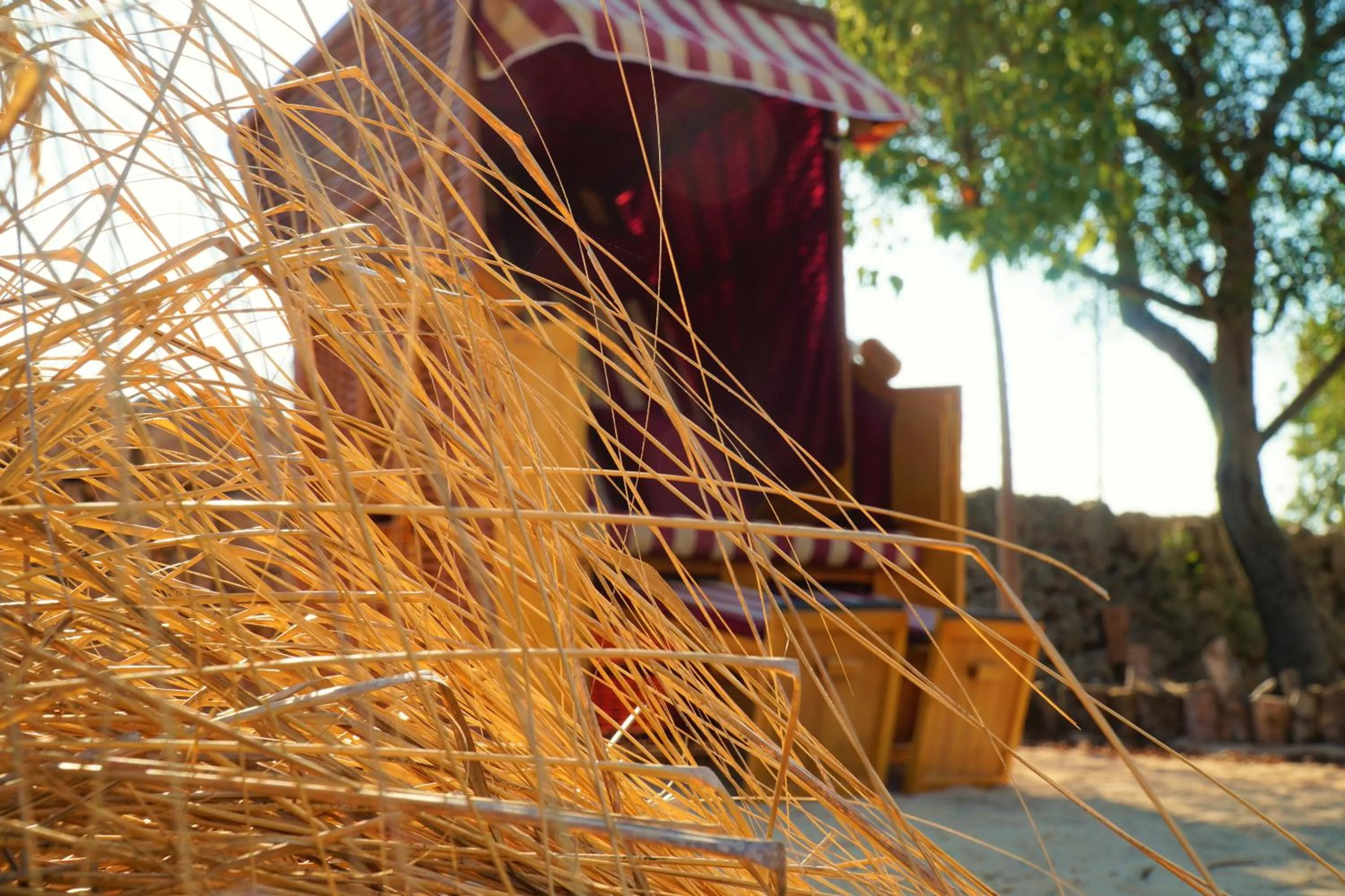 Agroturismo Finca Sa Tanca