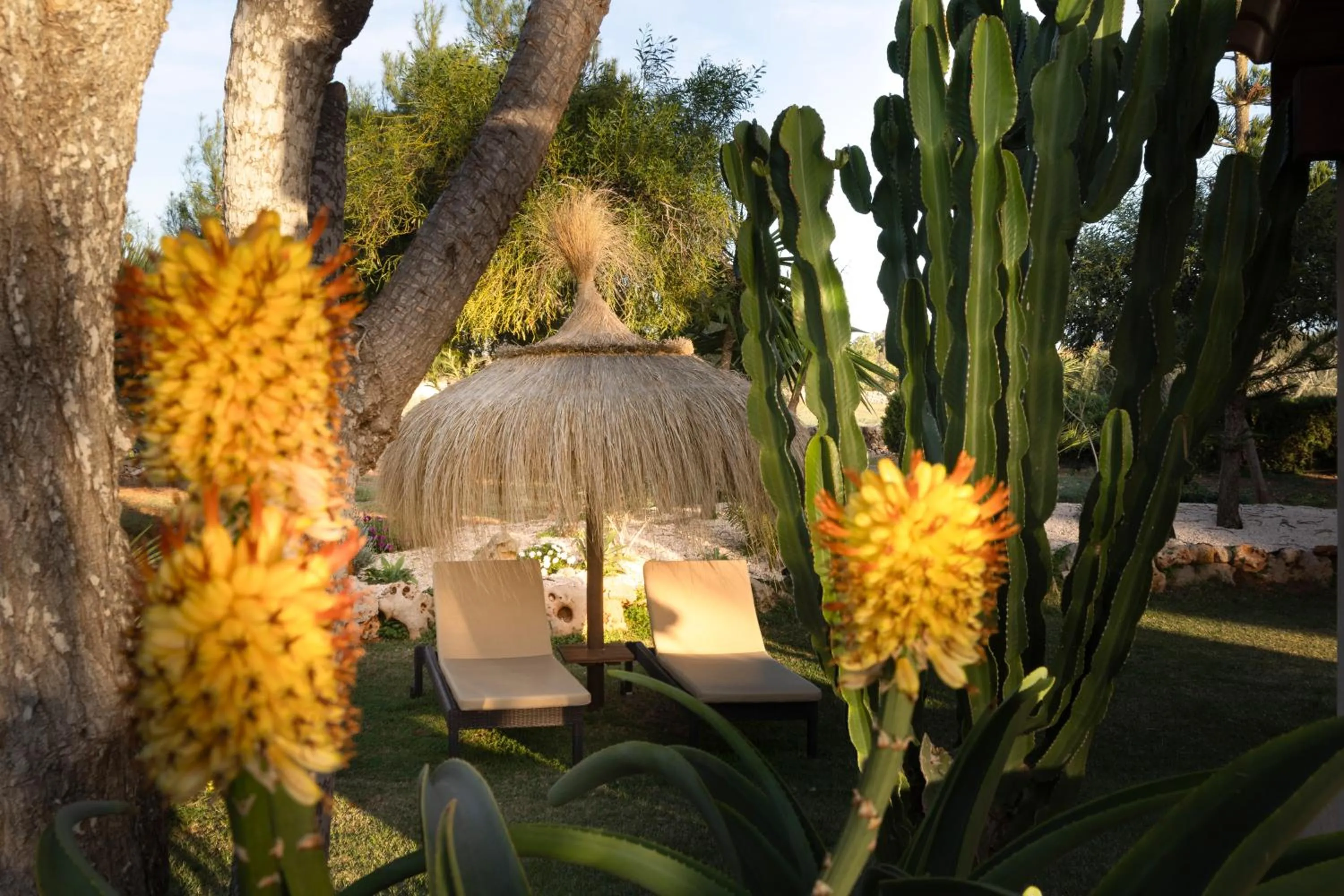 Agroturismo Finca Sa Tanca