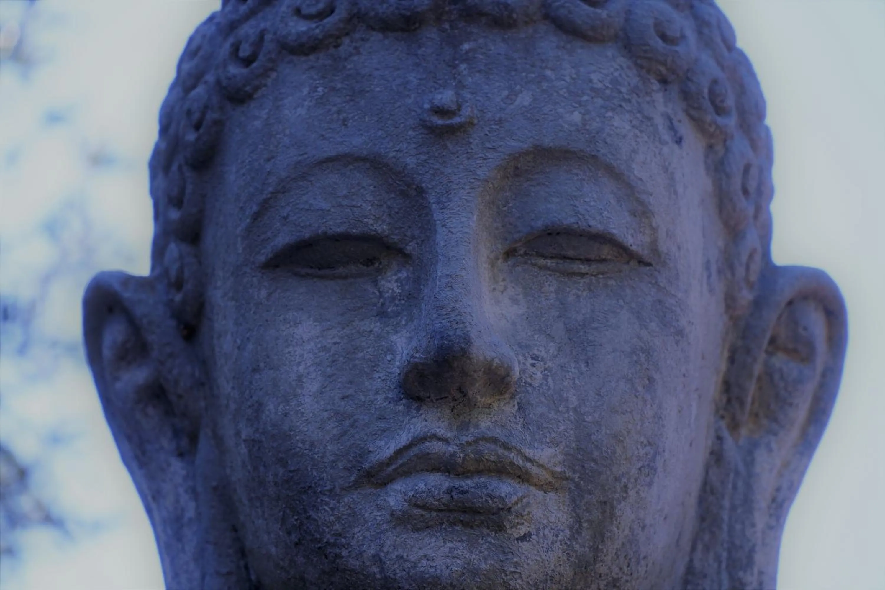 Agroturismo Finca Sa Tanca