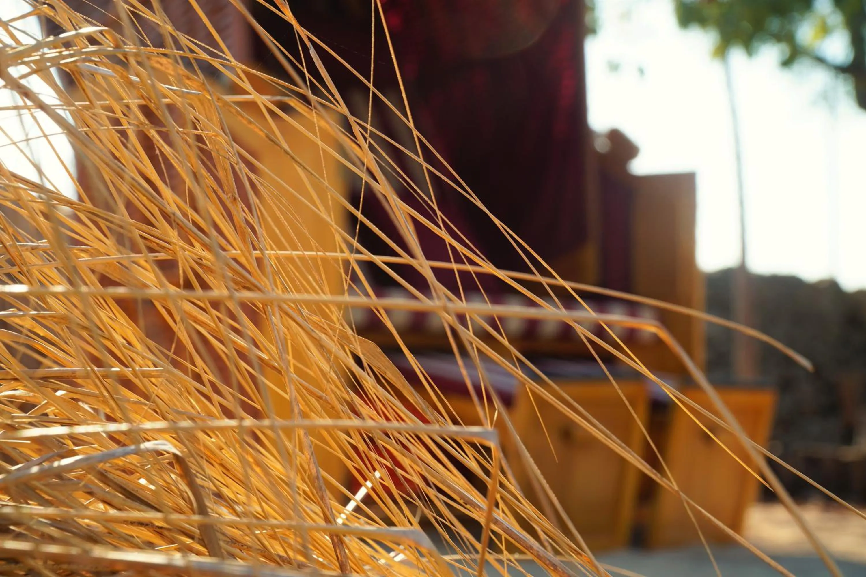 Agroturismo Finca Sa Tanca