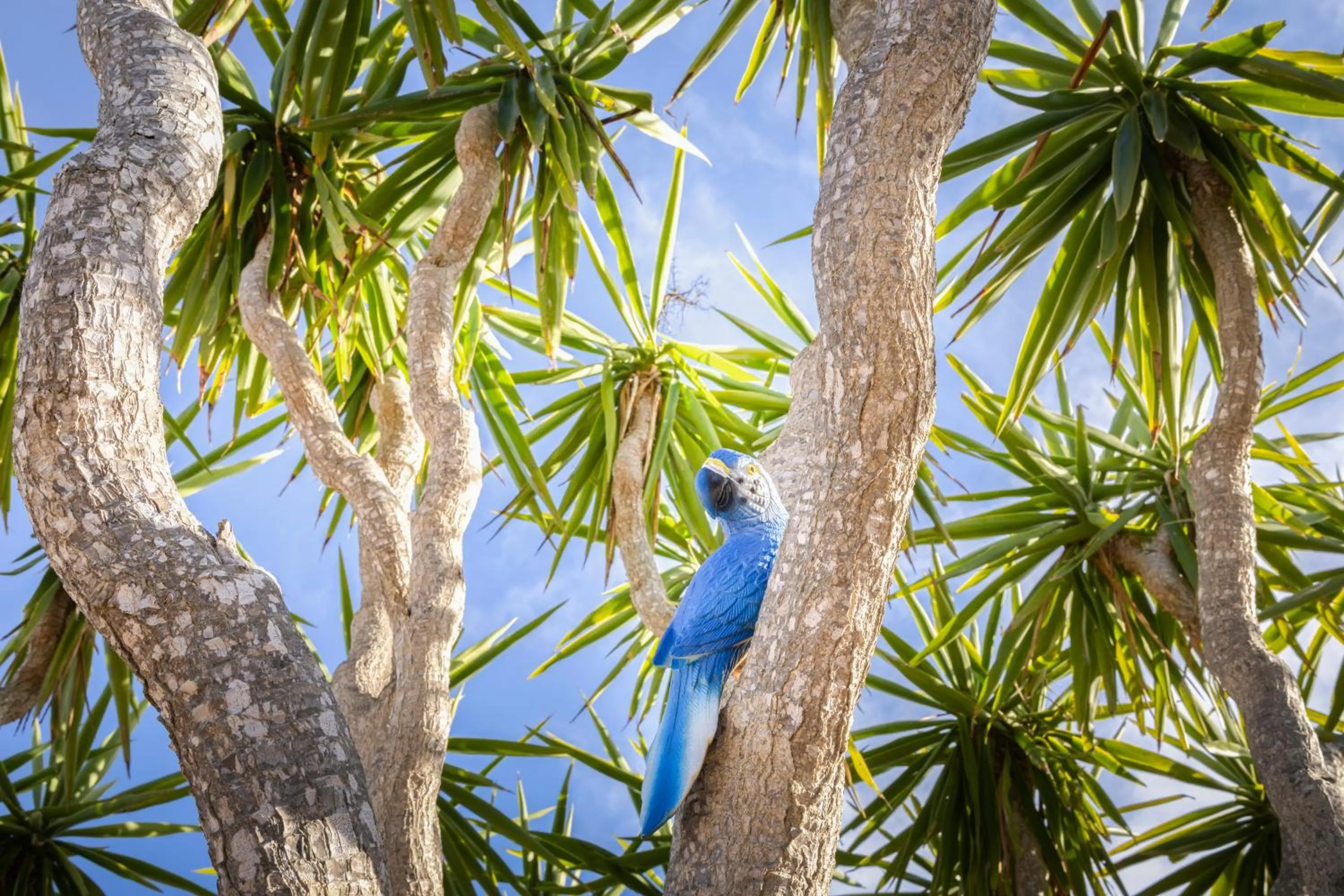 Agroturismo Finca Sa Tanca