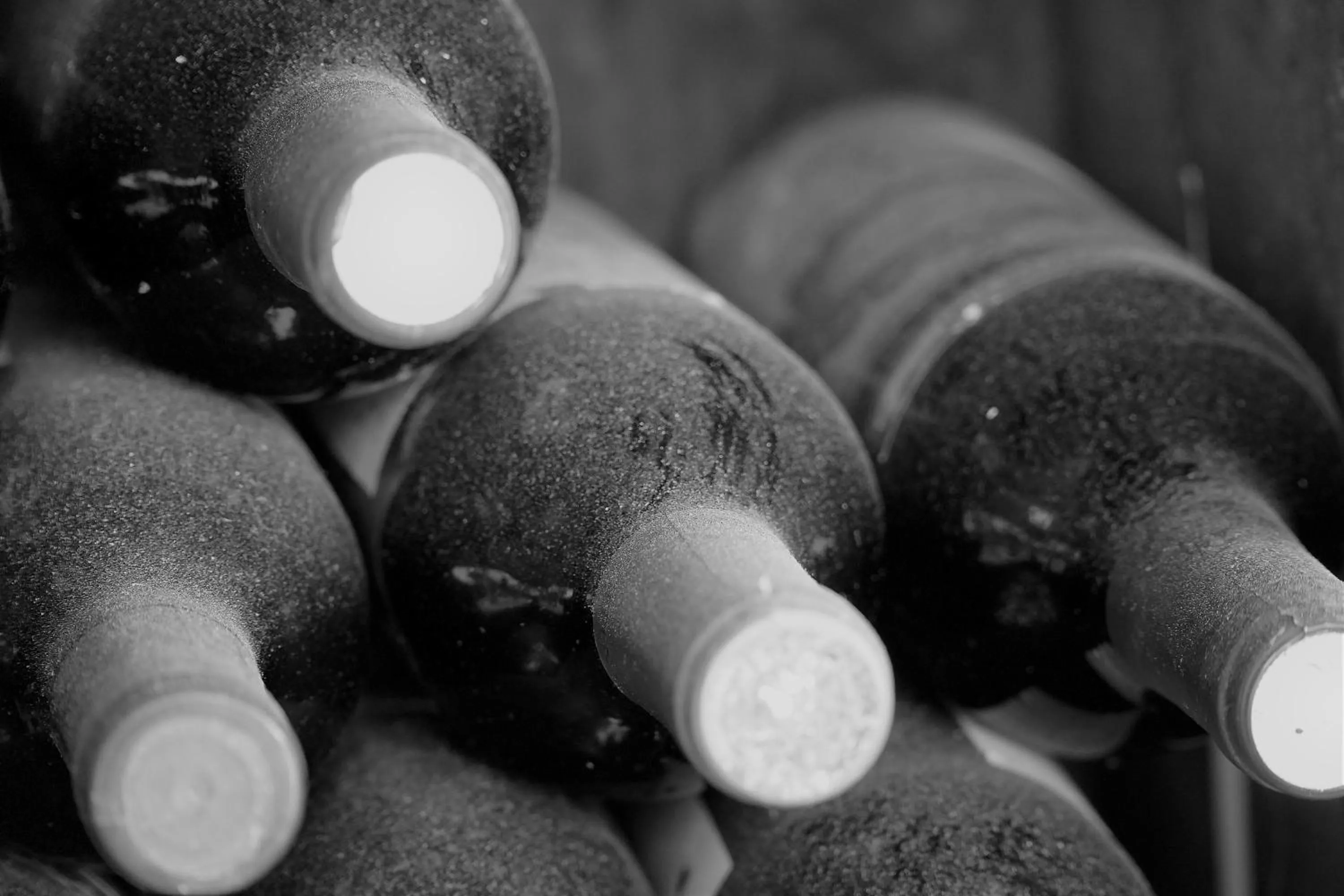 Agroturismo Finca Sa Tanca