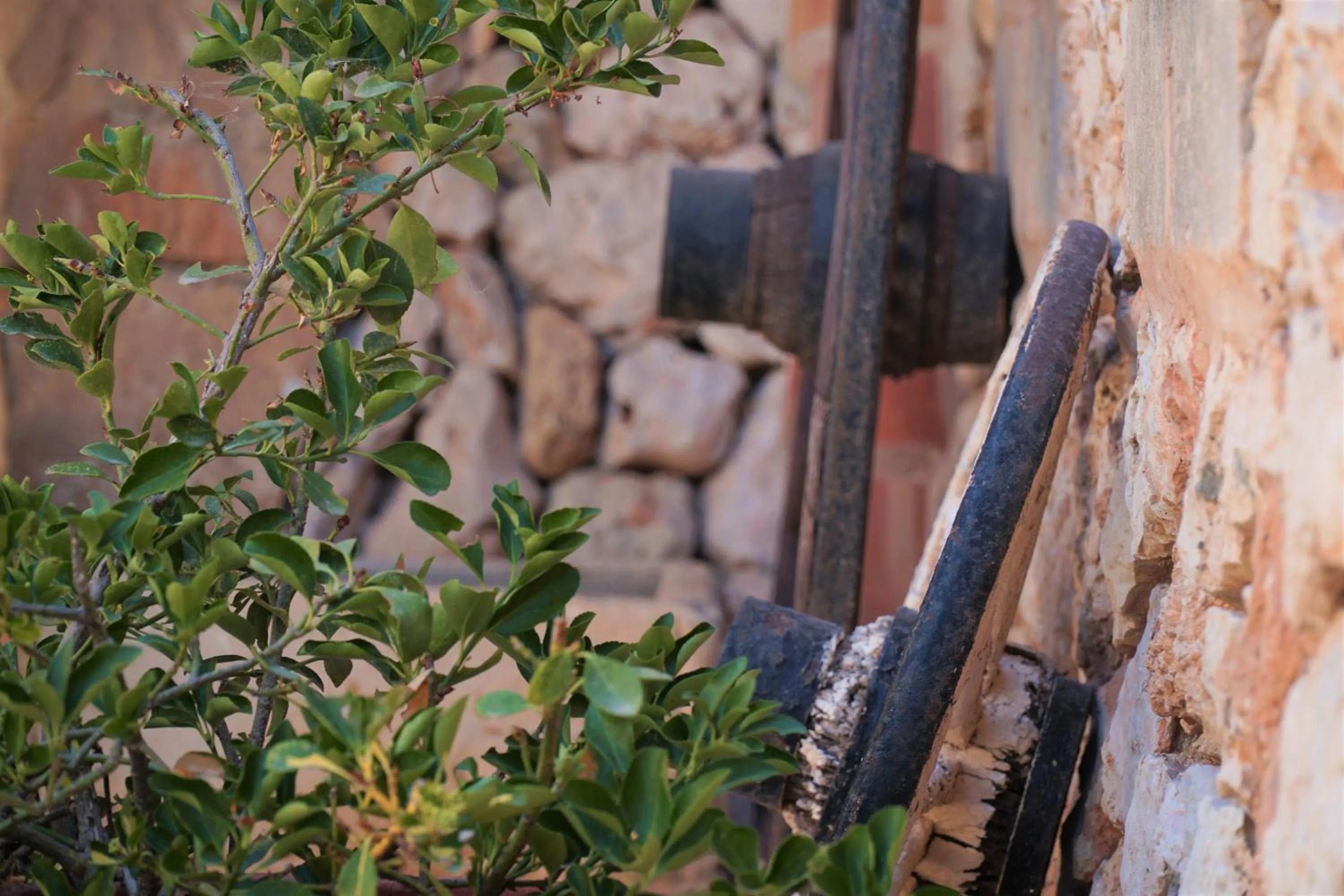 Agroturismo Finca Sa Tanca